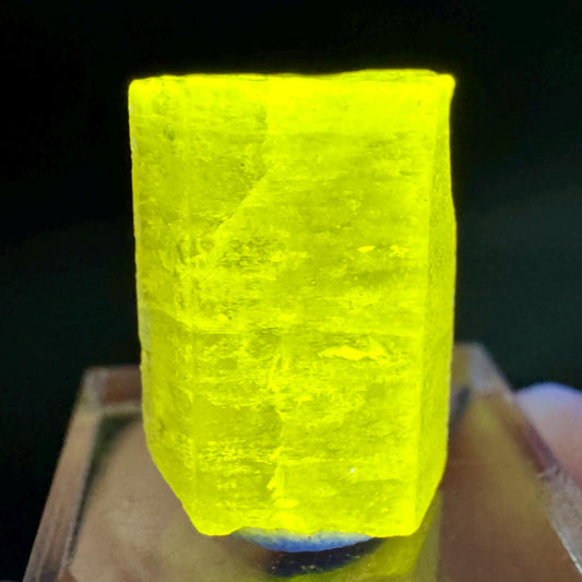 Pink Fluorapatite Crystal | UV reactive Mineral Specimen from Pakistan