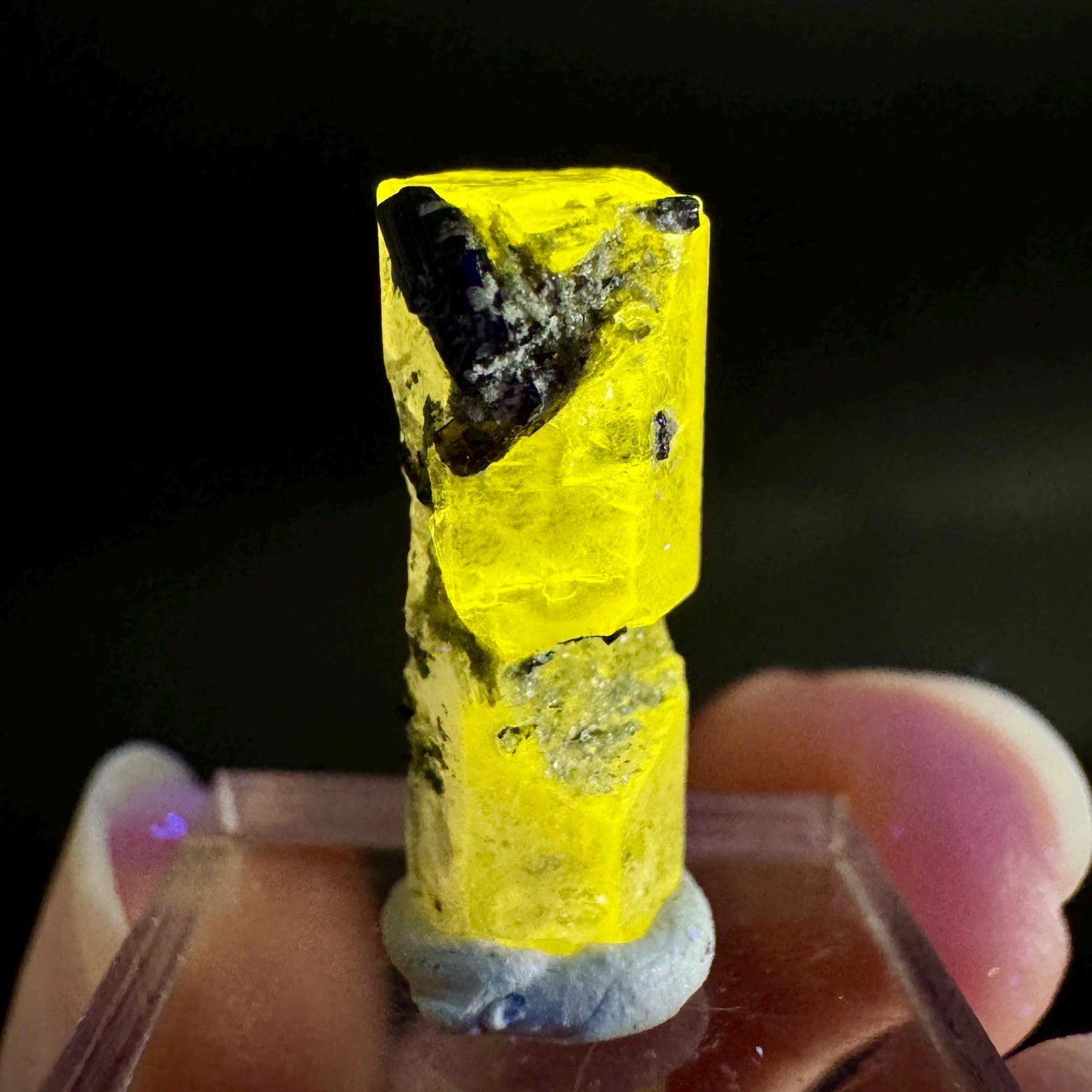 Pink Fluorapatite with Black Tourmaline | UV reactive crystal, rare mineral specimen from Pakistan