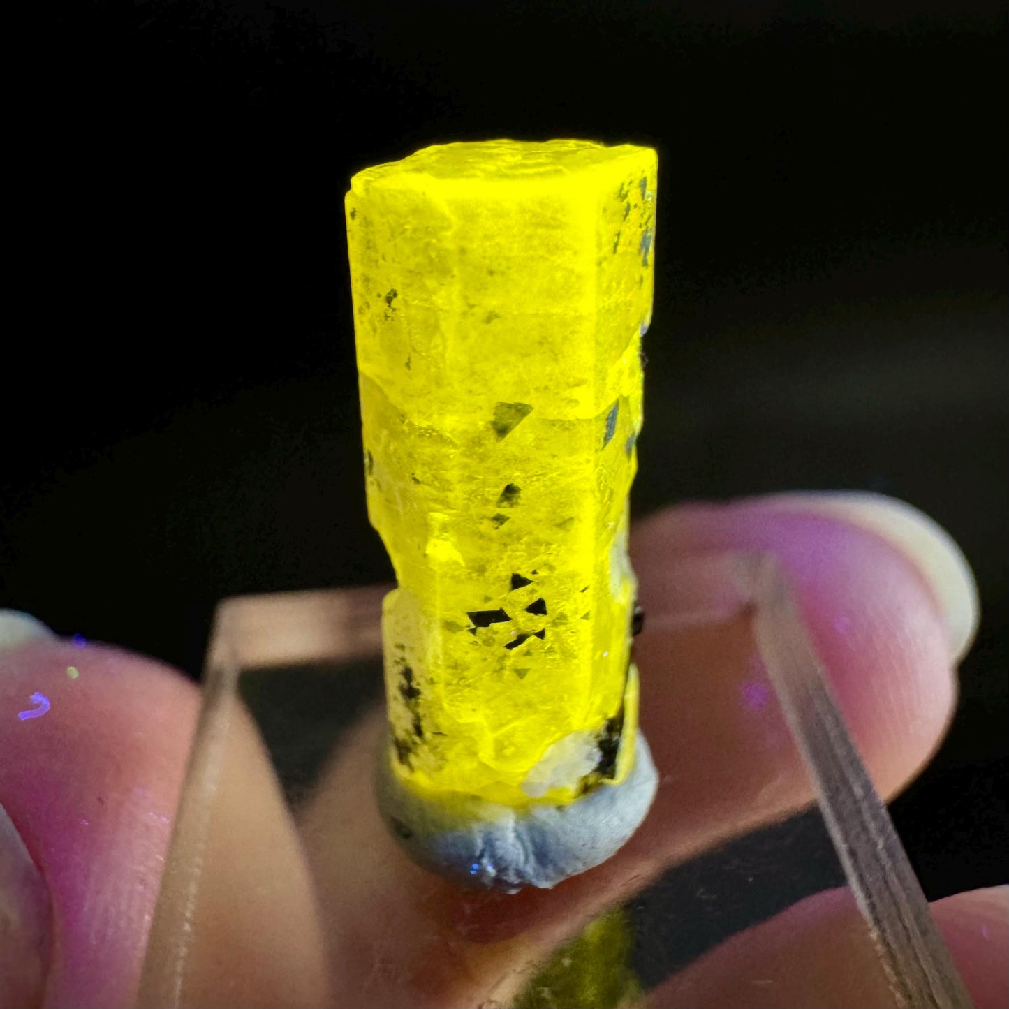Pink Fluorapatite with Black Tourmaline | UV reactive crystal, rare mineral specimen from Pakistan