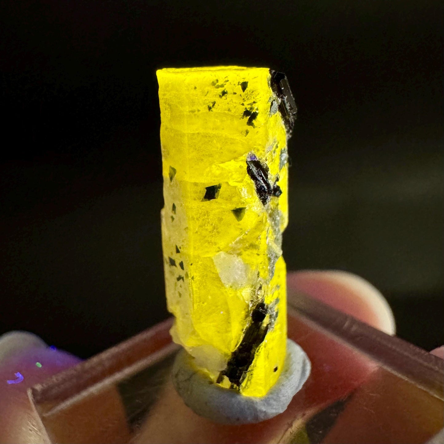 Pink Fluorapatite with Black Tourmaline | UV reactive crystal, rare mineral specimen from Pakistan