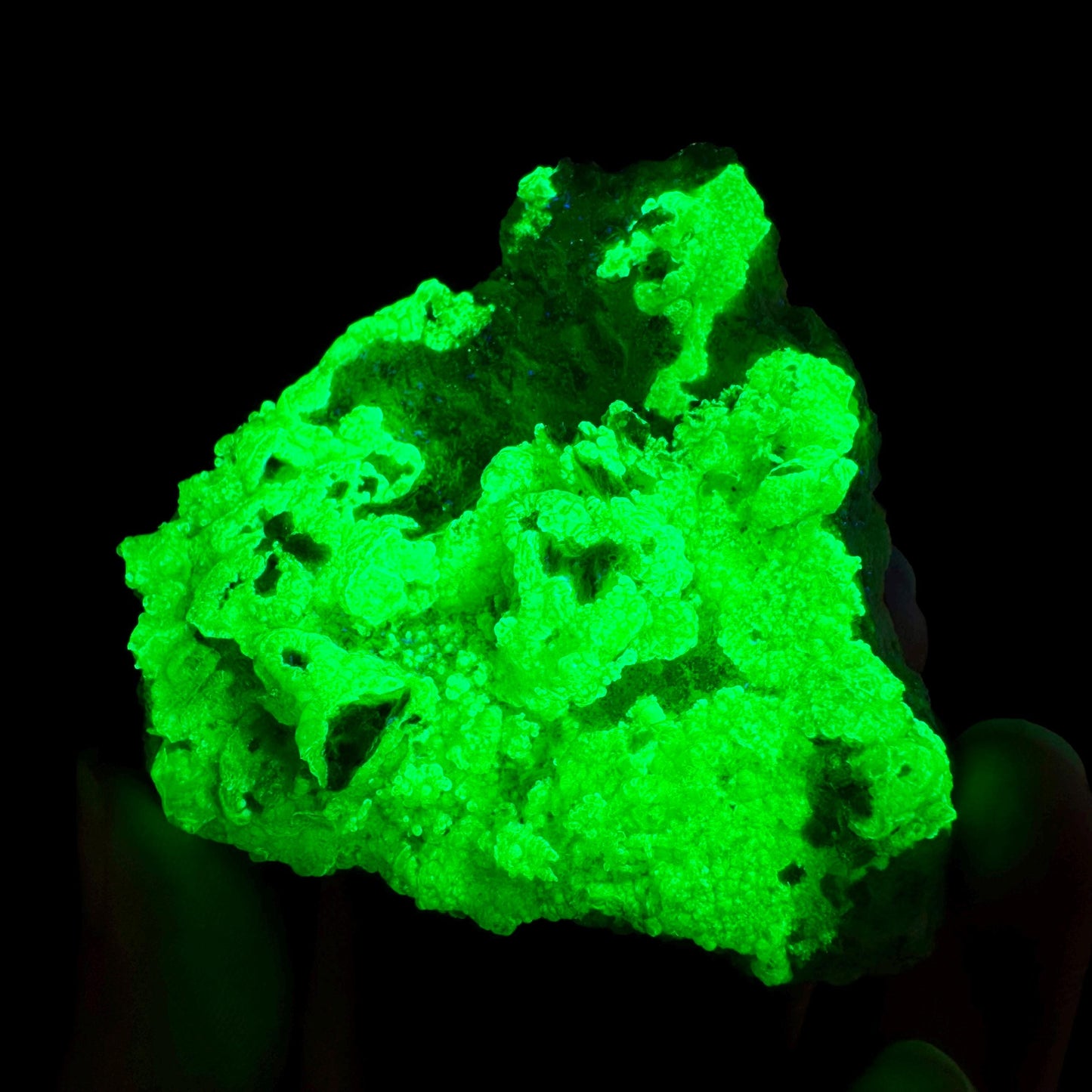 Hyalite Opal on Matrix | UV reactive crystal, green fluorescent mineral specimen from Namibia
