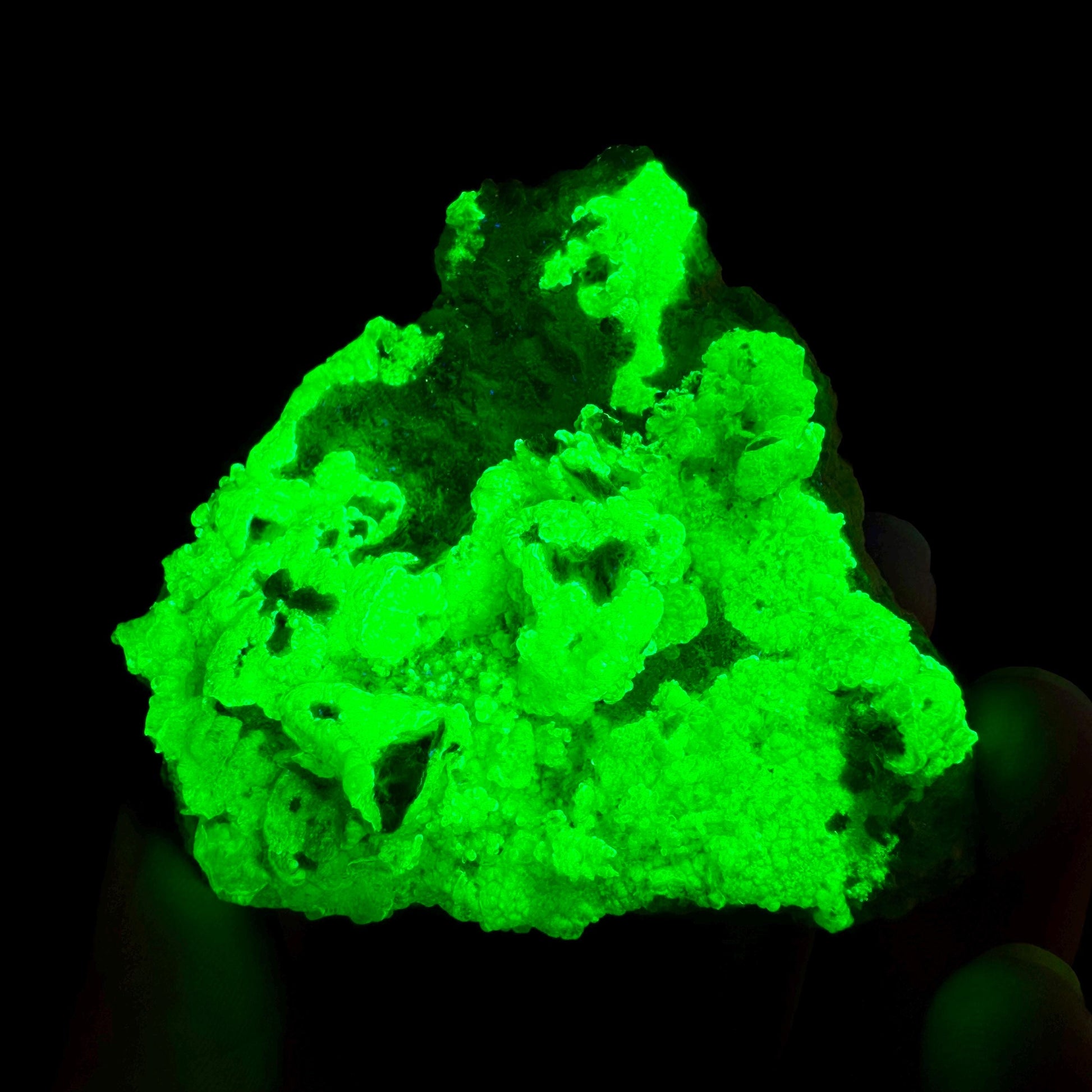 Hyalite Opal on Matrix | UV reactive crystal, green fluorescent mineral specimen from Namibia
