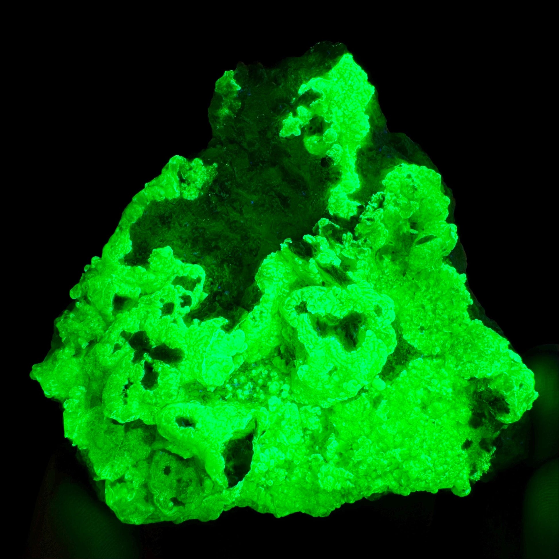 Hyalite Opal on Matrix | UV reactive crystal, green fluorescent mineral specimen from Namibia