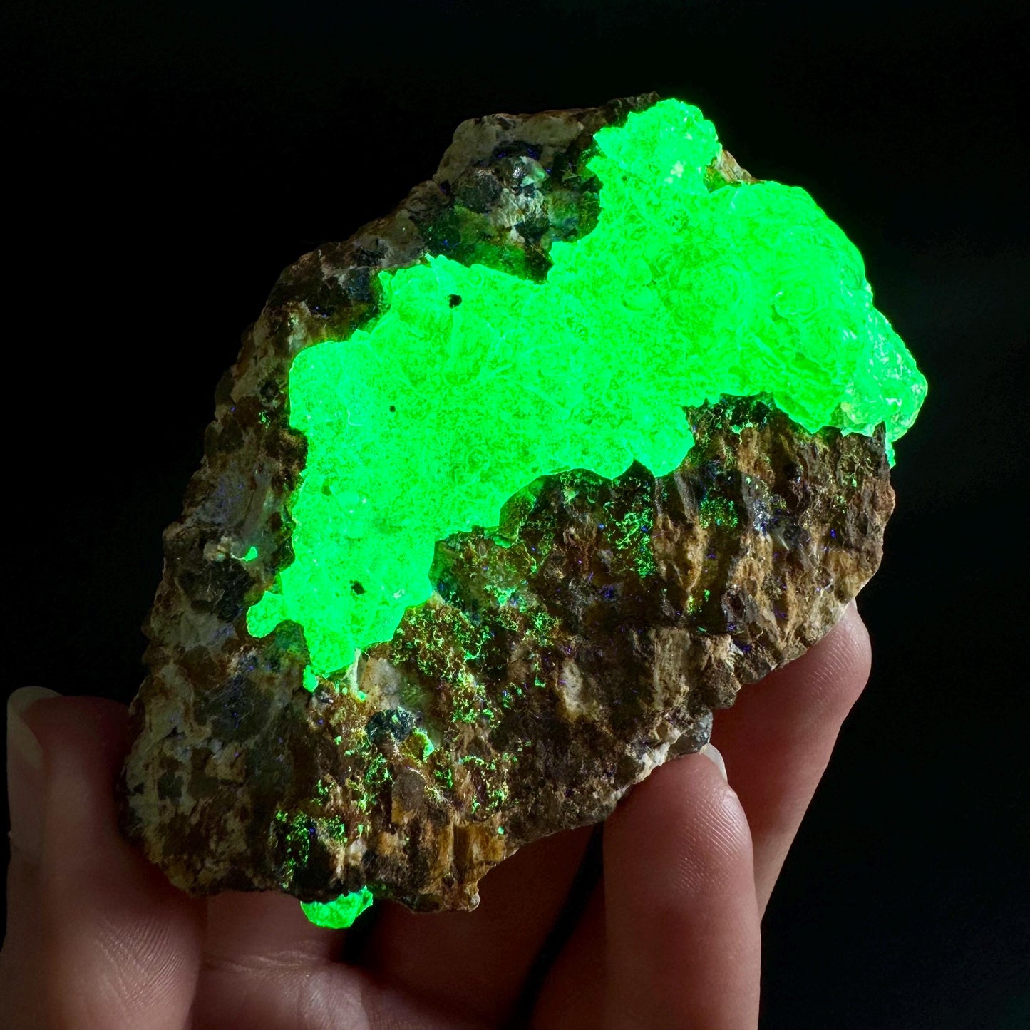 Hyalite Opal on Matrix | UV reactive crystal, green fluorescent mineral specimen from Namibia