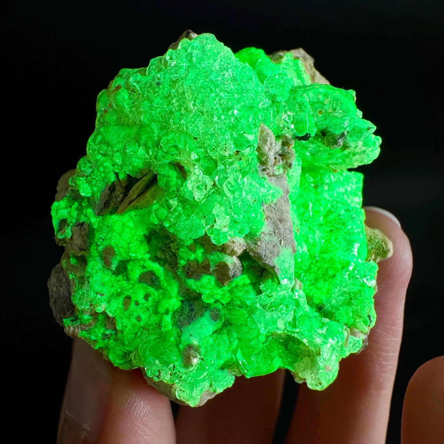 Hyalite Opal on Matrix | UV reactive crystal, green fluorescent mineral specimen from Namibia