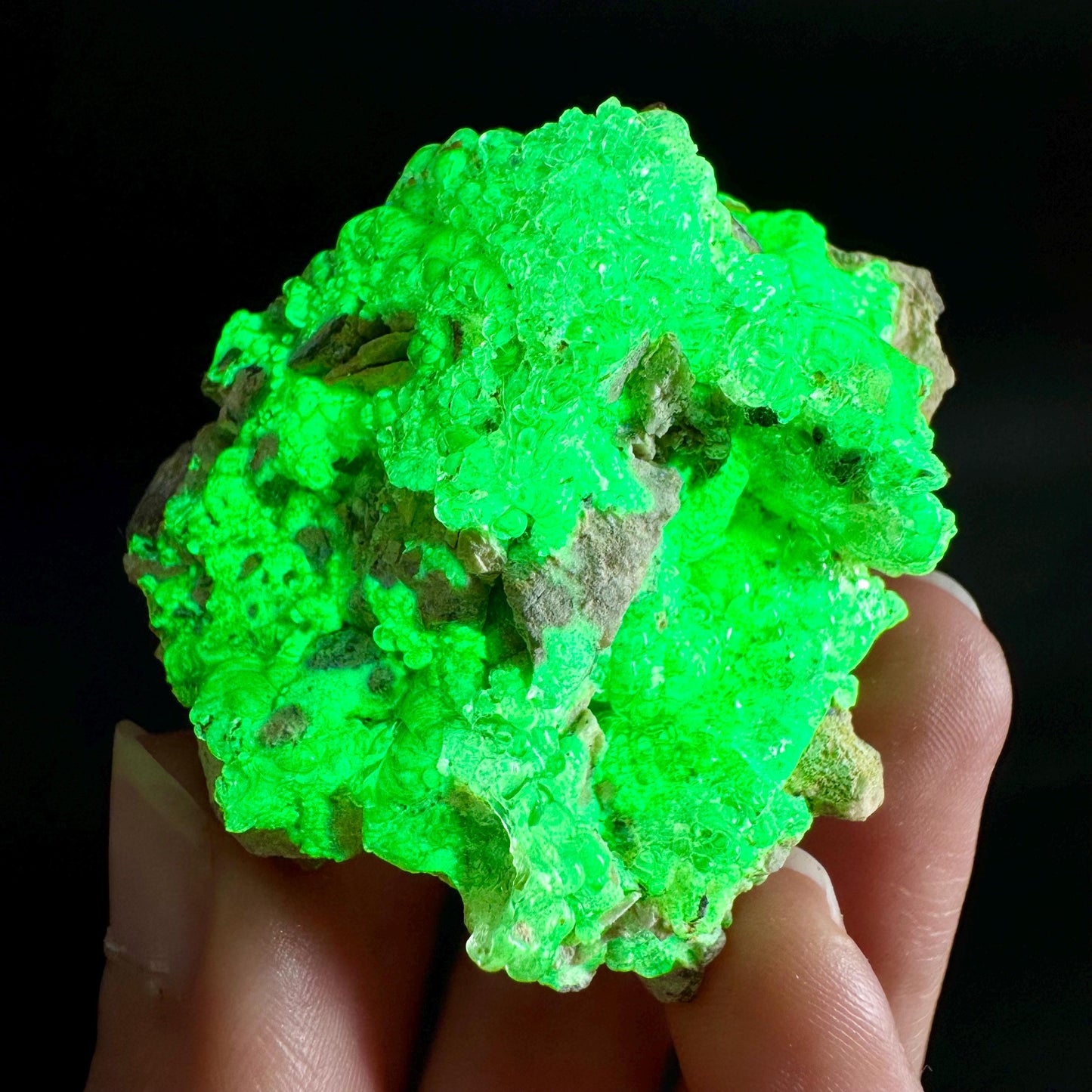Hyalite Opal on Matrix | UV reactive crystal, green fluorescent mineral specimen from Namibia