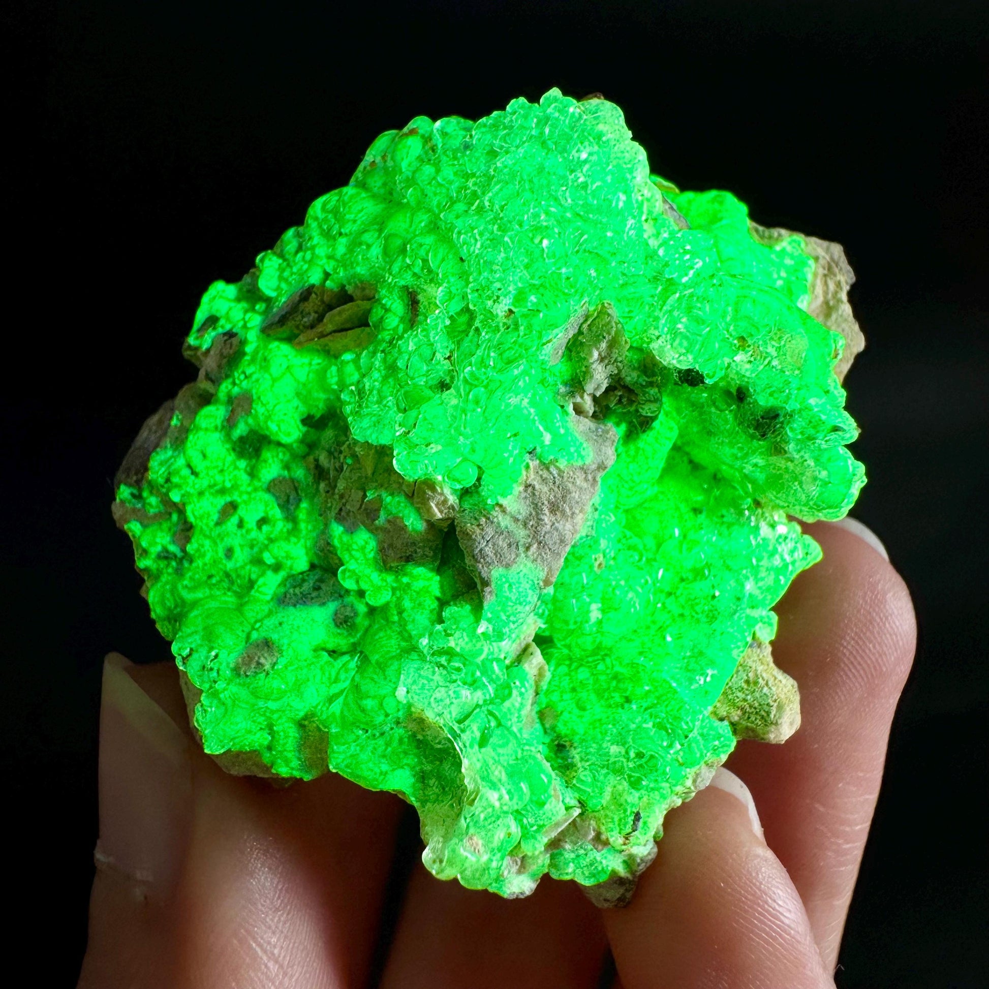 Hyalite Opal on Matrix | UV reactive crystal, green fluorescent mineral specimen from Namibia