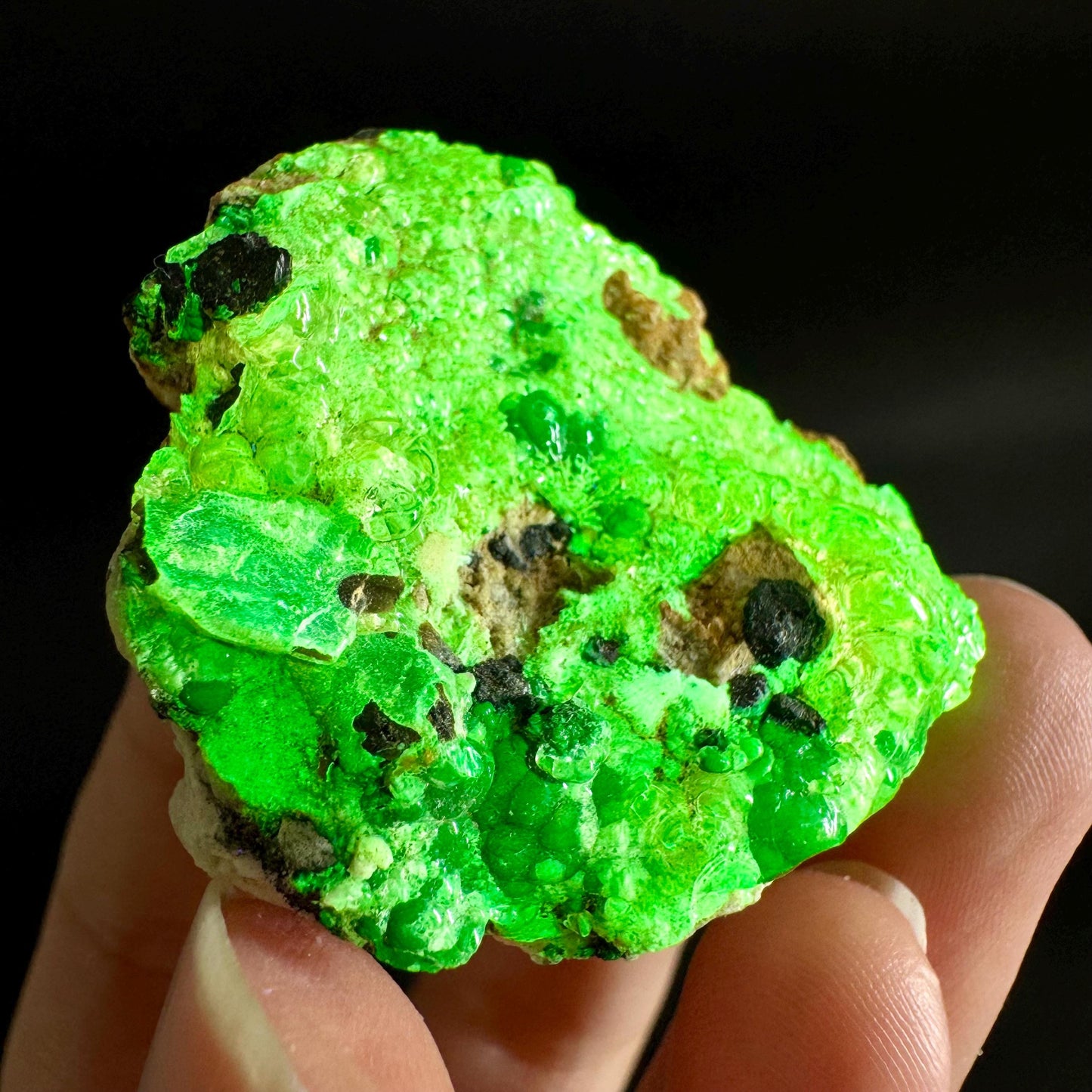 Hyalite Opal on Matrix | UV reactive crystal, green fluorescent mineral specimen from Namibia