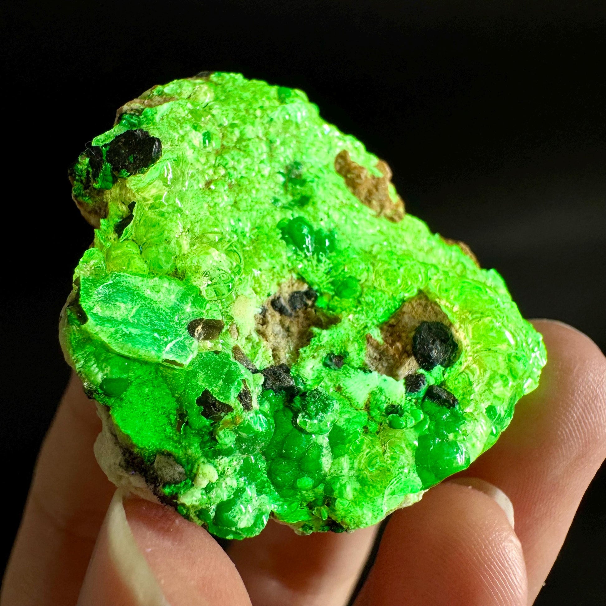 Hyalite Opal on Matrix | UV reactive crystal, green fluorescent mineral specimen from Namibia