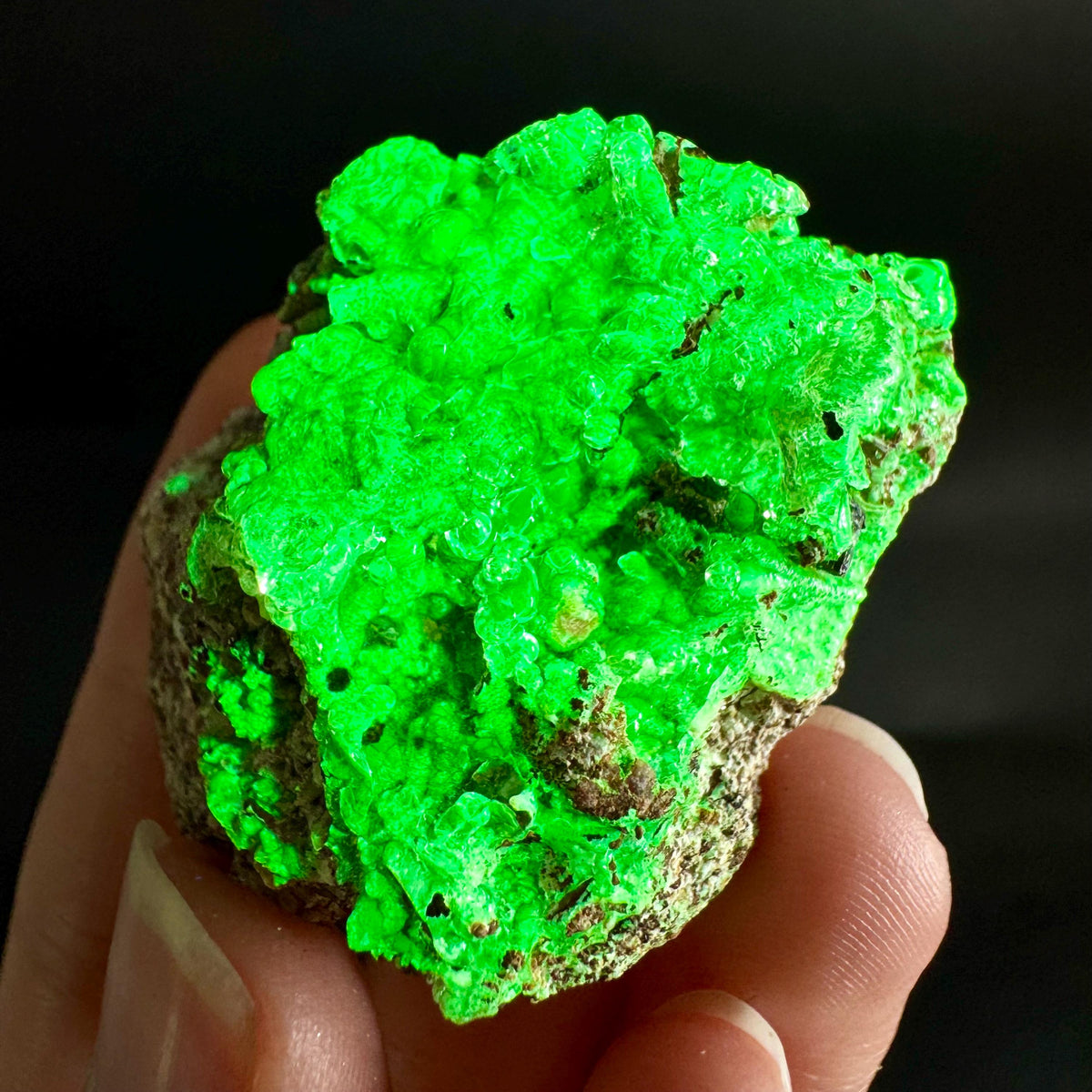 Hyalite Opal on Matrix | UV reactive crystal, green fluorescent mineral specimen from Namibia