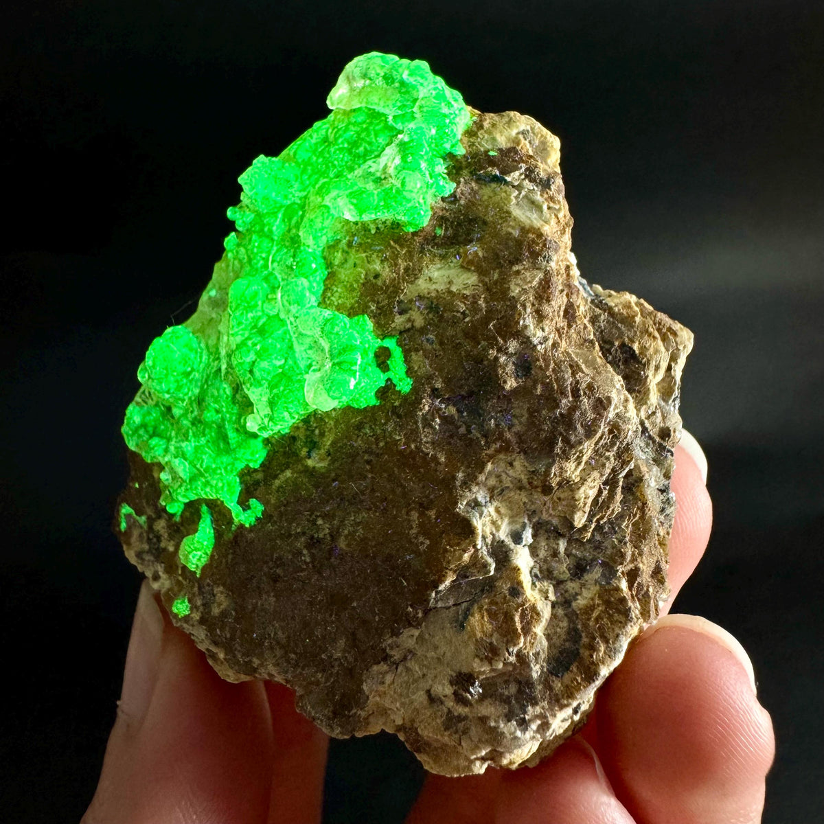 Hyalite Opal on Matrix | UV reactive crystal, green fluorescent mineral specimen from Namibia