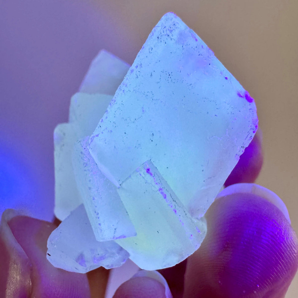 Fluorescent Calcite | UV-reactive crystal, natural mineral specimen from Indonesia