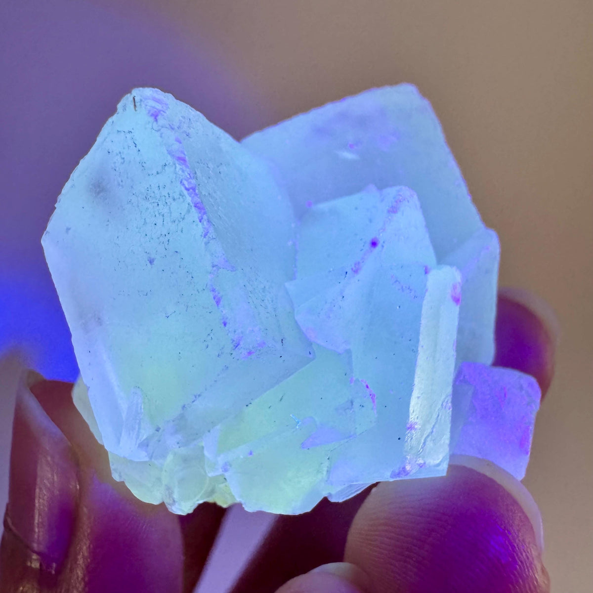 Fluorescent Calcite | UV-reactive crystal, natural mineral specimen from Indonesia