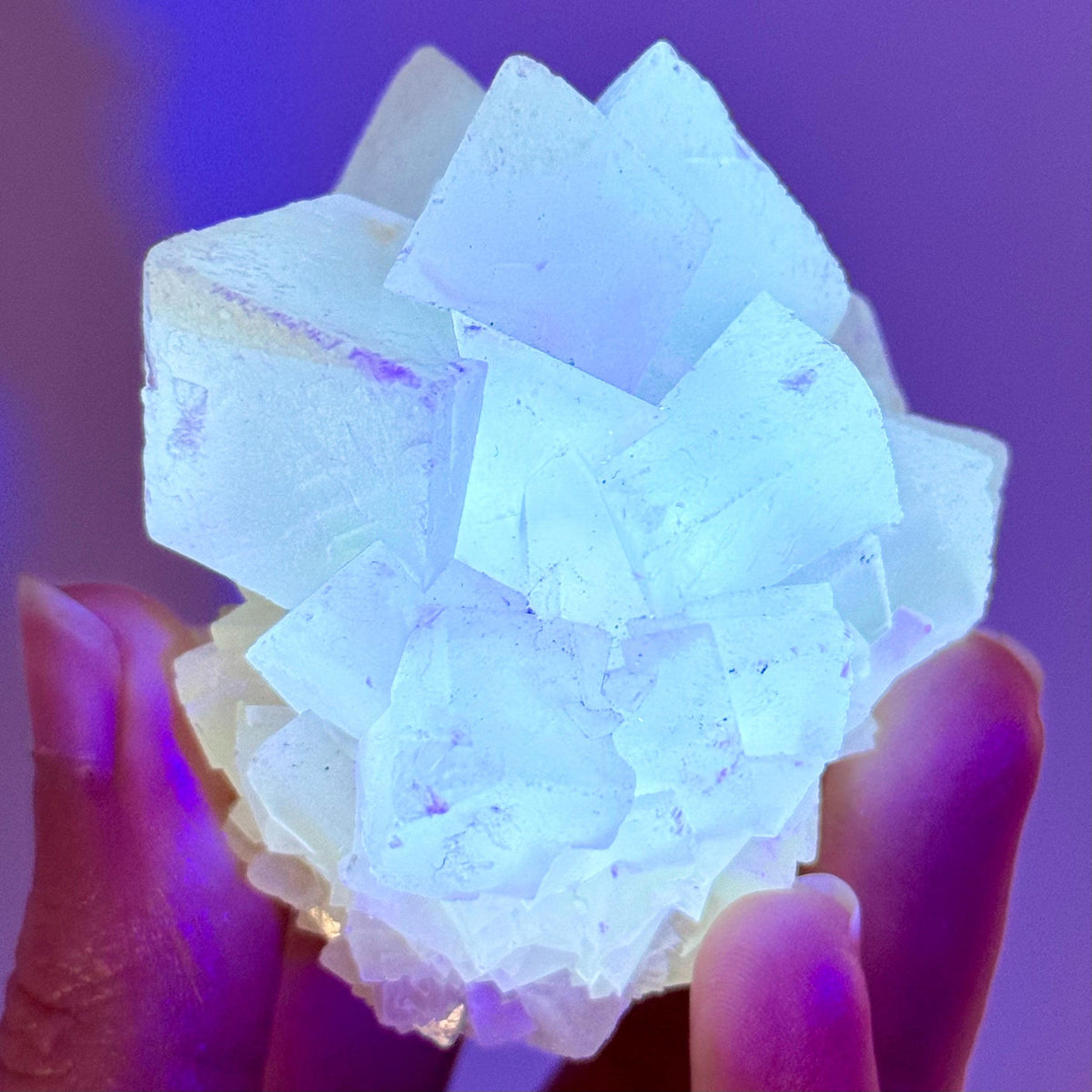 Fluorescent Calcite | UV-reactive crystal, natural mineral specimen from Indonesia