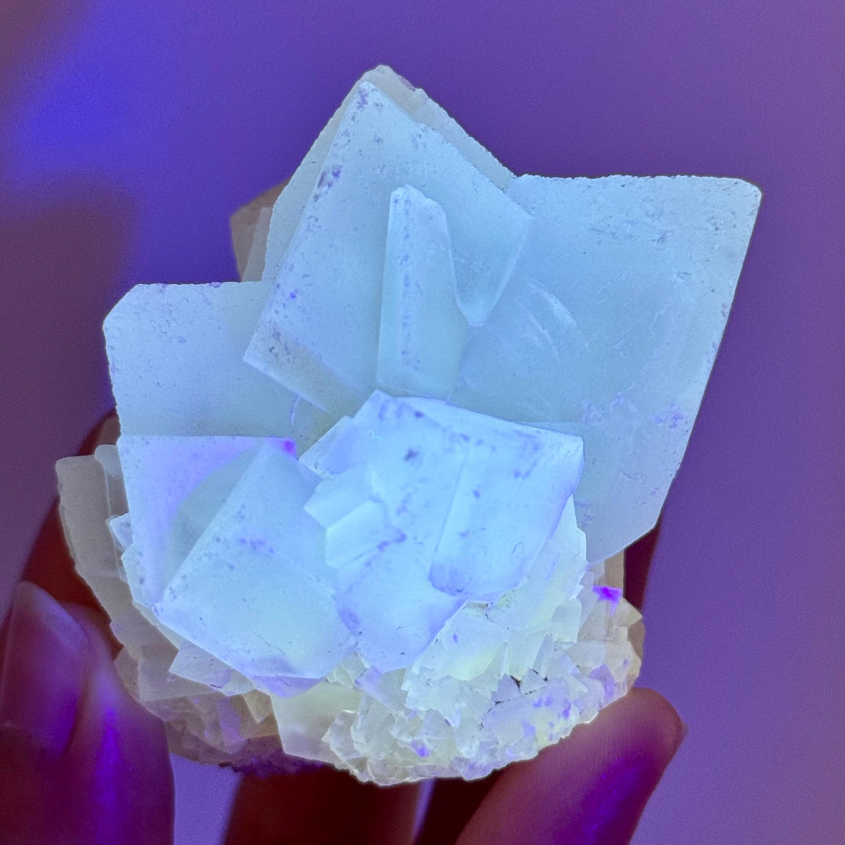 Fluorescent Calcite | UV-reactive crystal, natural mineral specimen from Indonesia
