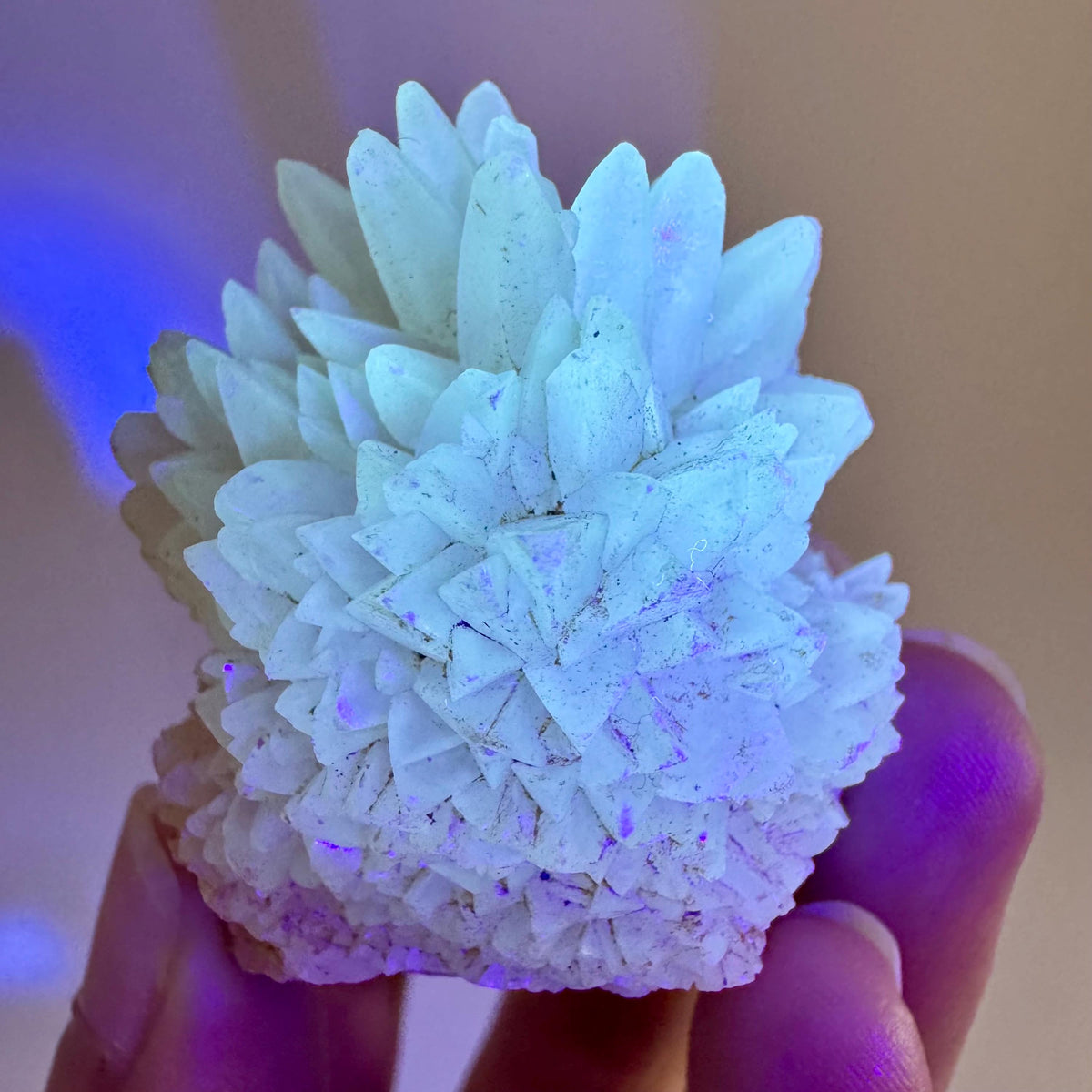 Fluorescent Calcite | UV-reactive crystal, natural mineral specimen from Indonesia
