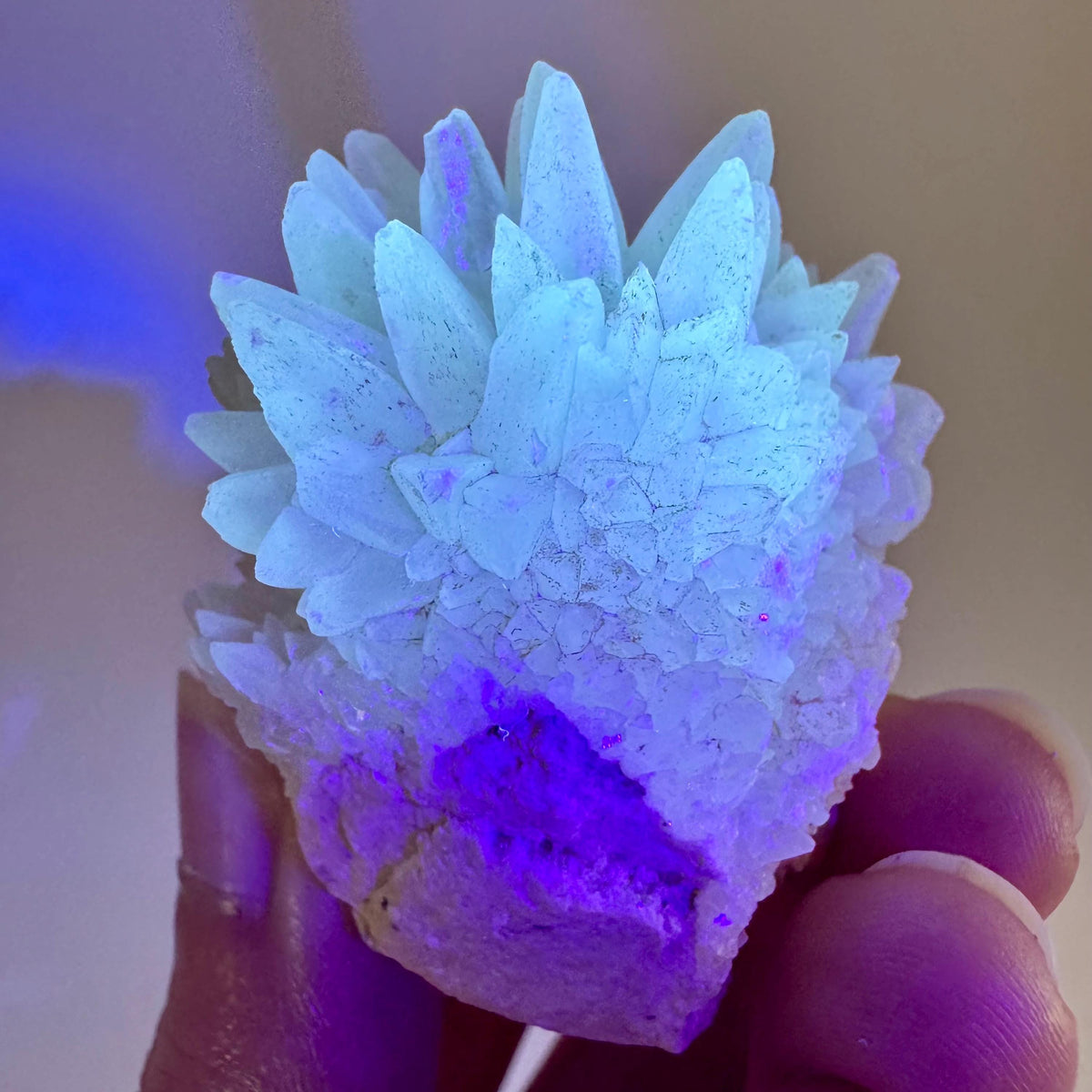 Fluorescent Calcite | UV-reactive crystal, natural mineral specimen from Indonesia