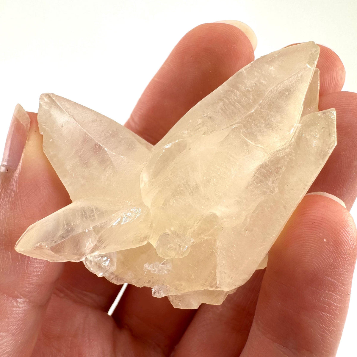 Fluorescent Calcite | UV-reactive crystal, natural mineral specimen from Indonesia