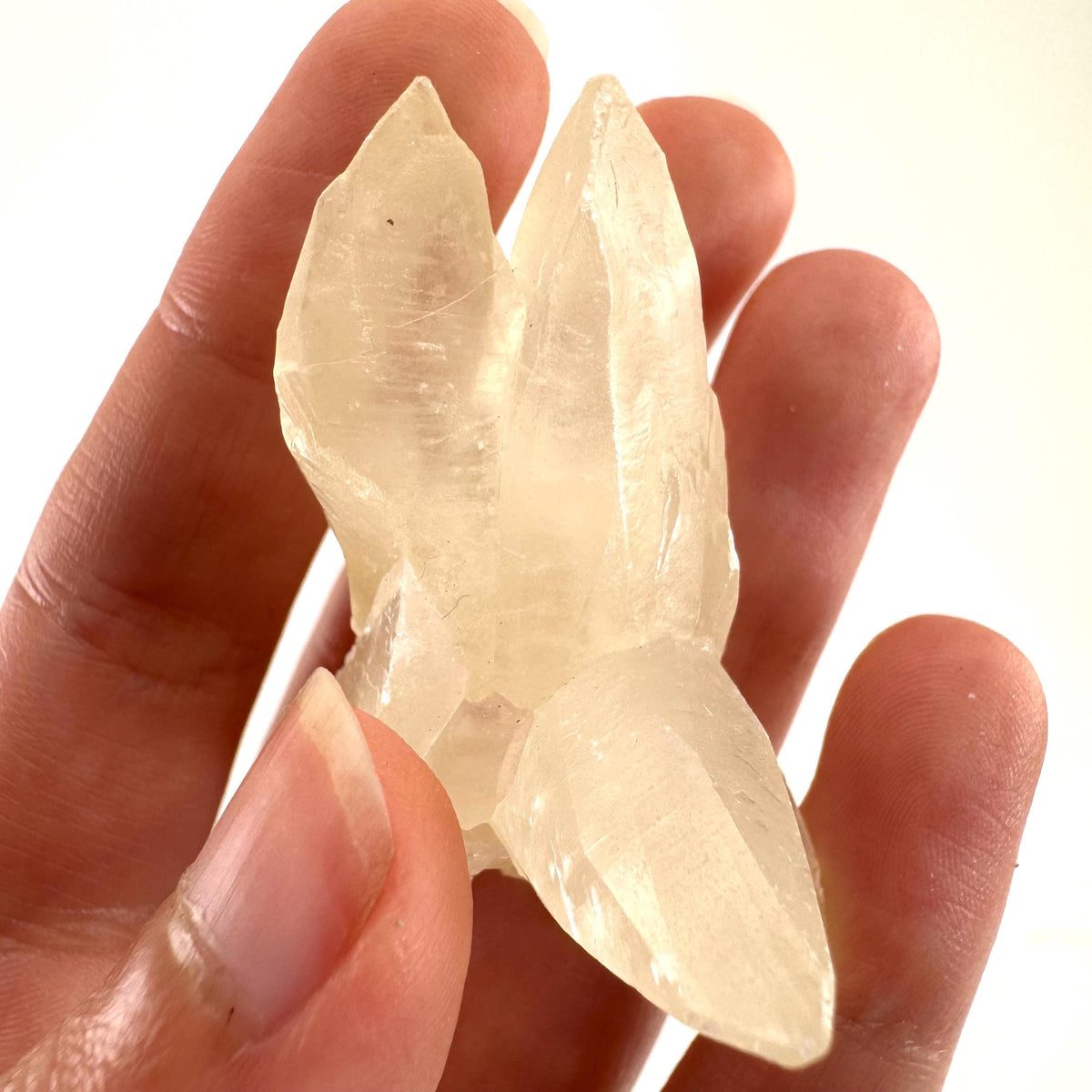 Fluorescent Calcite | UV-reactive crystal, natural mineral specimen from Indonesia