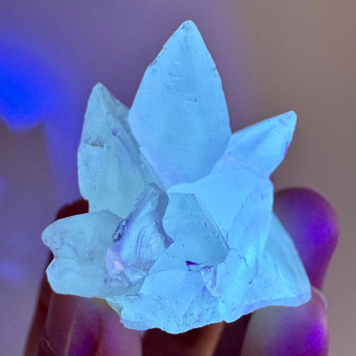 Fluorescent Calcite | UV-reactive crystal, natural mineral specimen from Indonesia