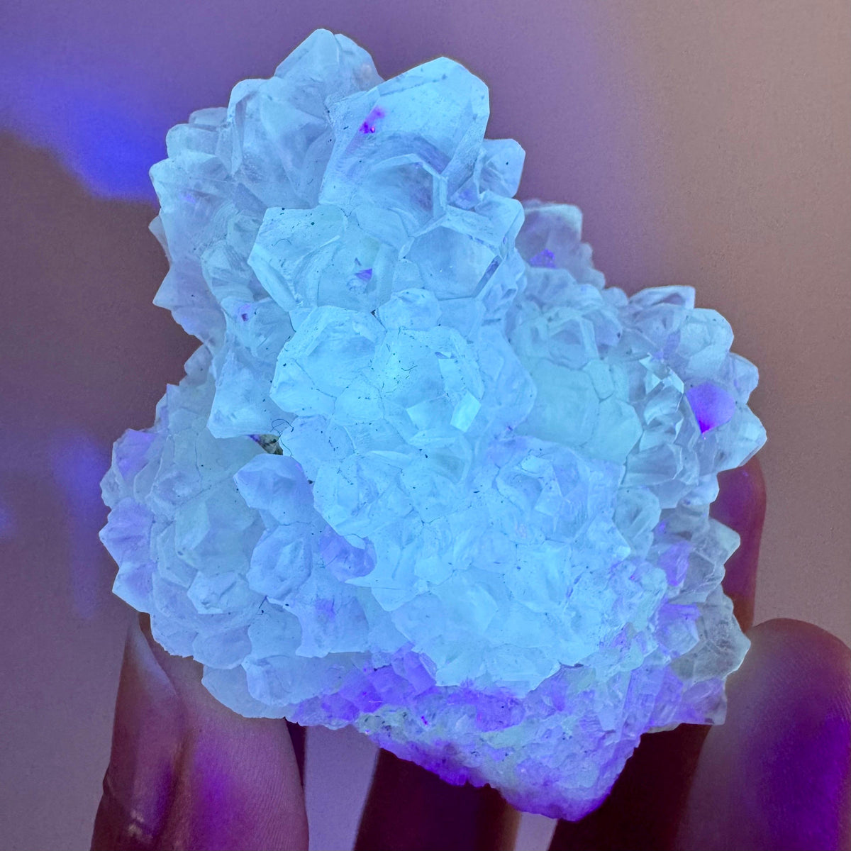 Fluorescent Calcite | UV-reactive crystal, natural mineral specimen from Indonesia
