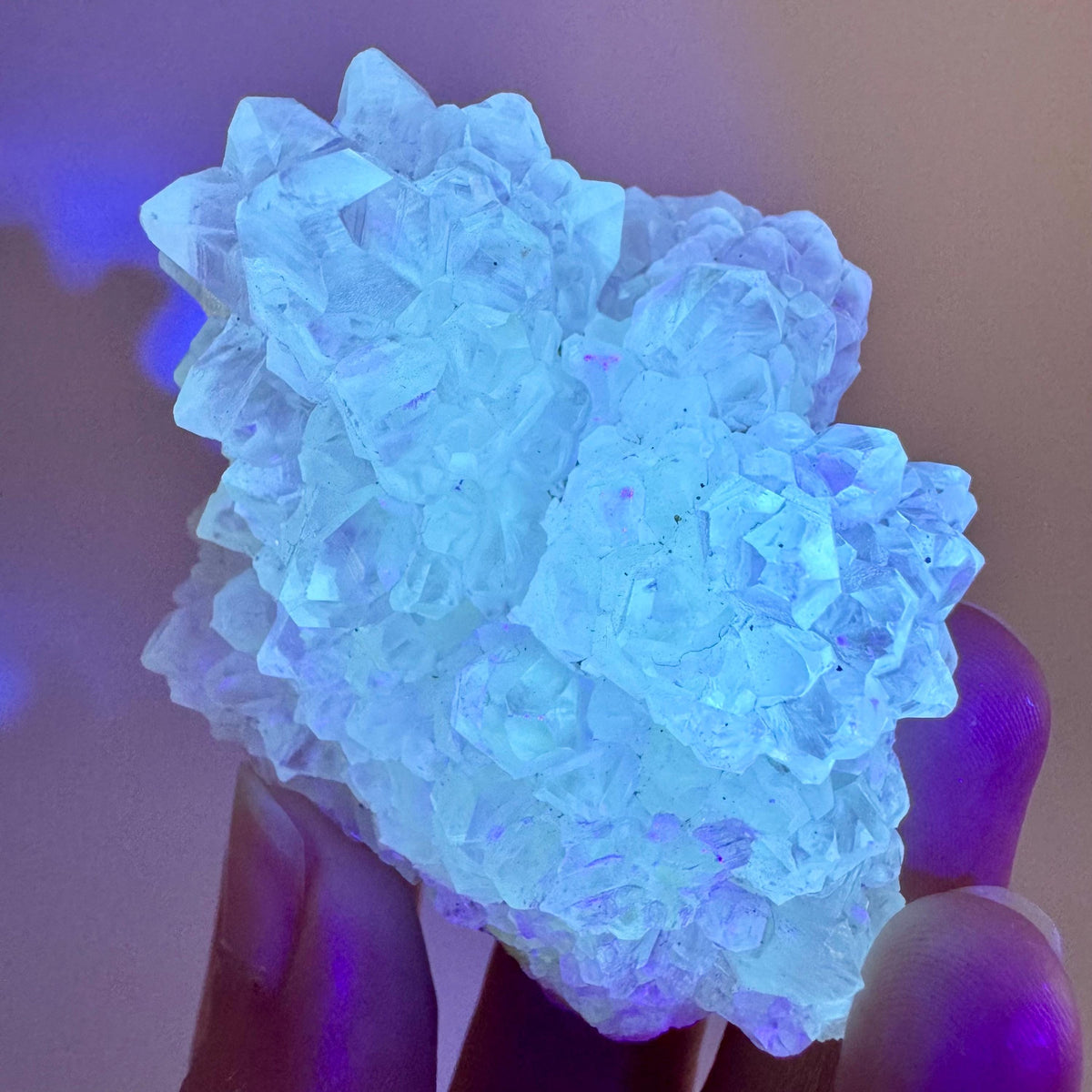 Fluorescent Calcite | UV-reactive crystal, natural mineral specimen from Indonesia