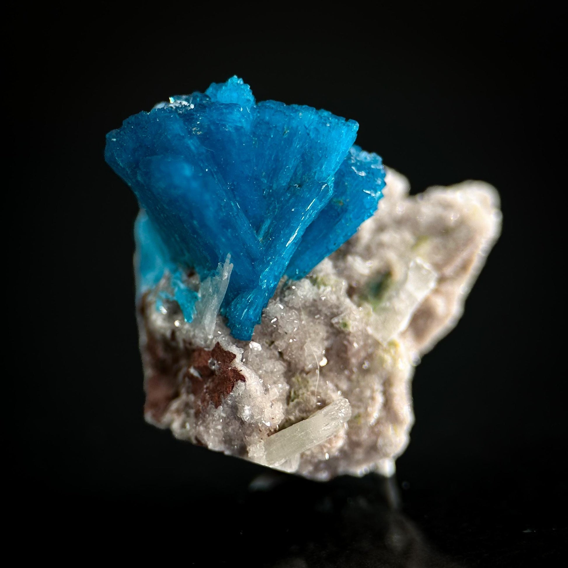 Deep Blue Cavansite on Matrix | crystal cluster, mineral specimen