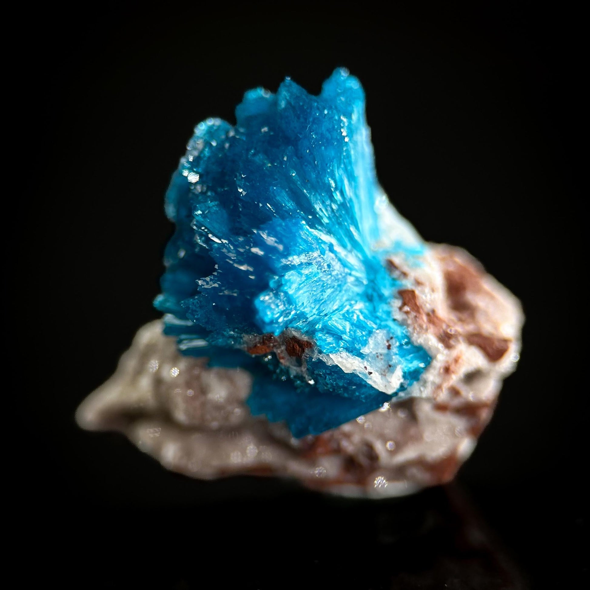 Deep Blue Cavansite on Matrix | crystal cluster, mineral specimen