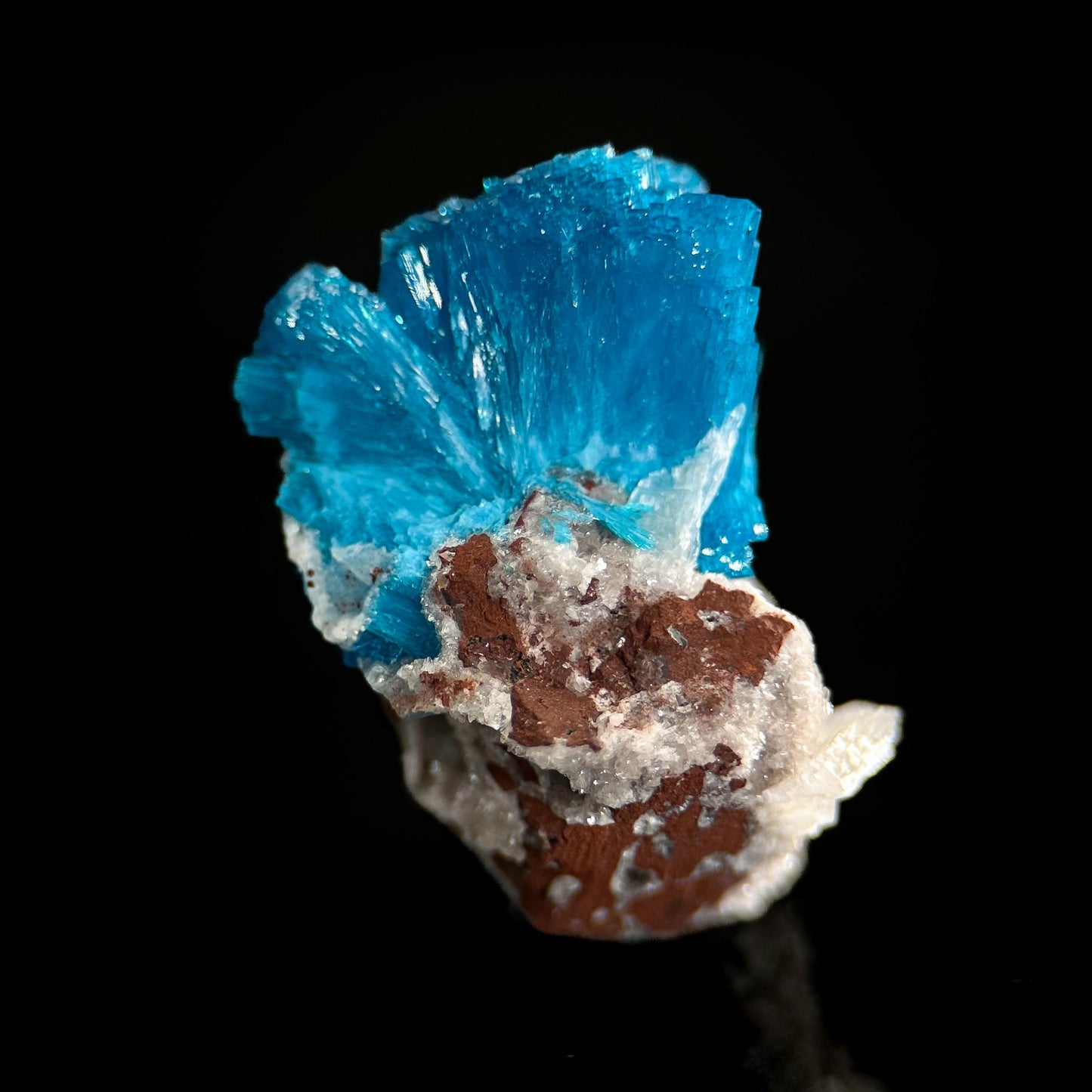 Deep Blue Cavansite on Matrix | crystal cluster, mineral specimen