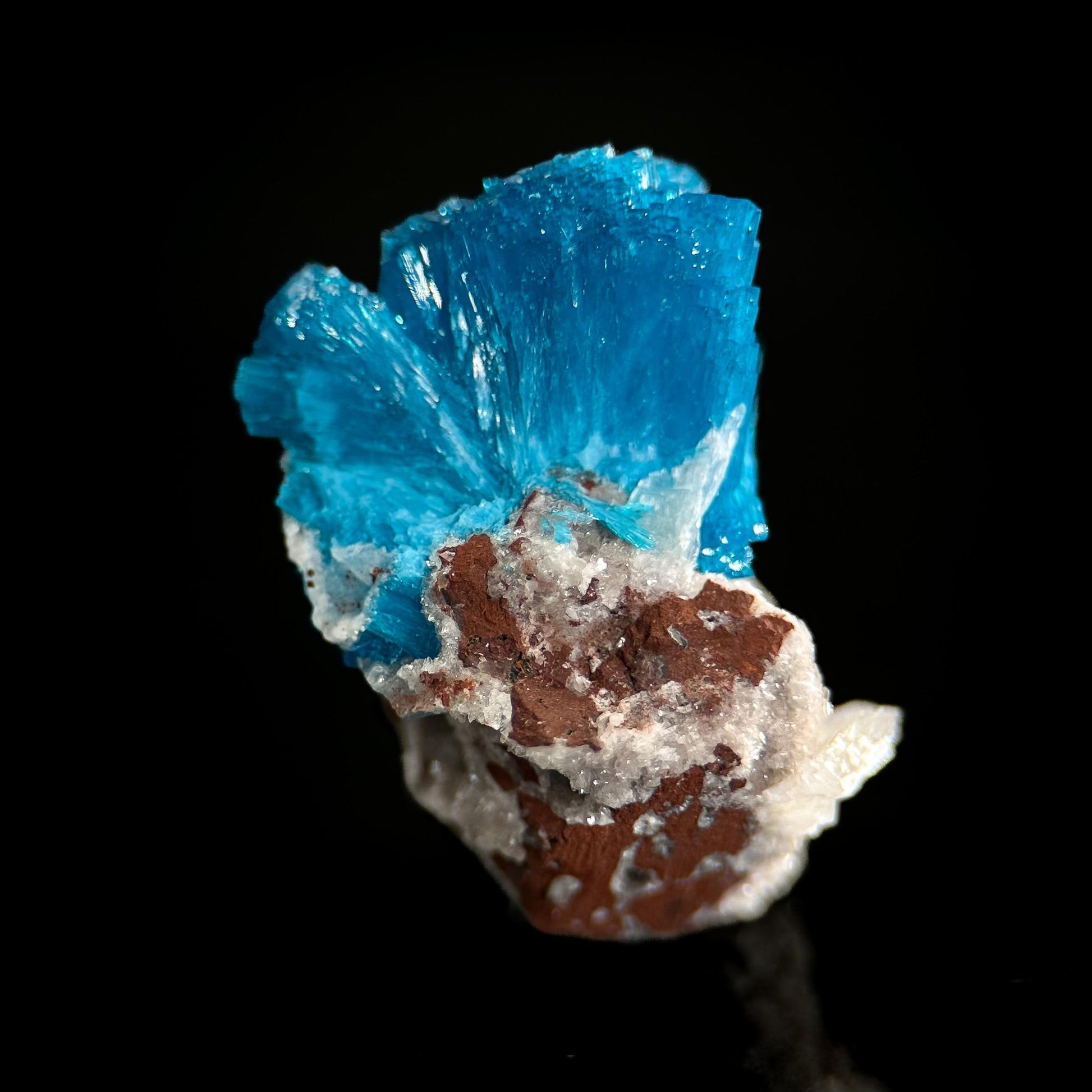 Deep Blue Cavansite on Matrix | crystal cluster, mineral specimen