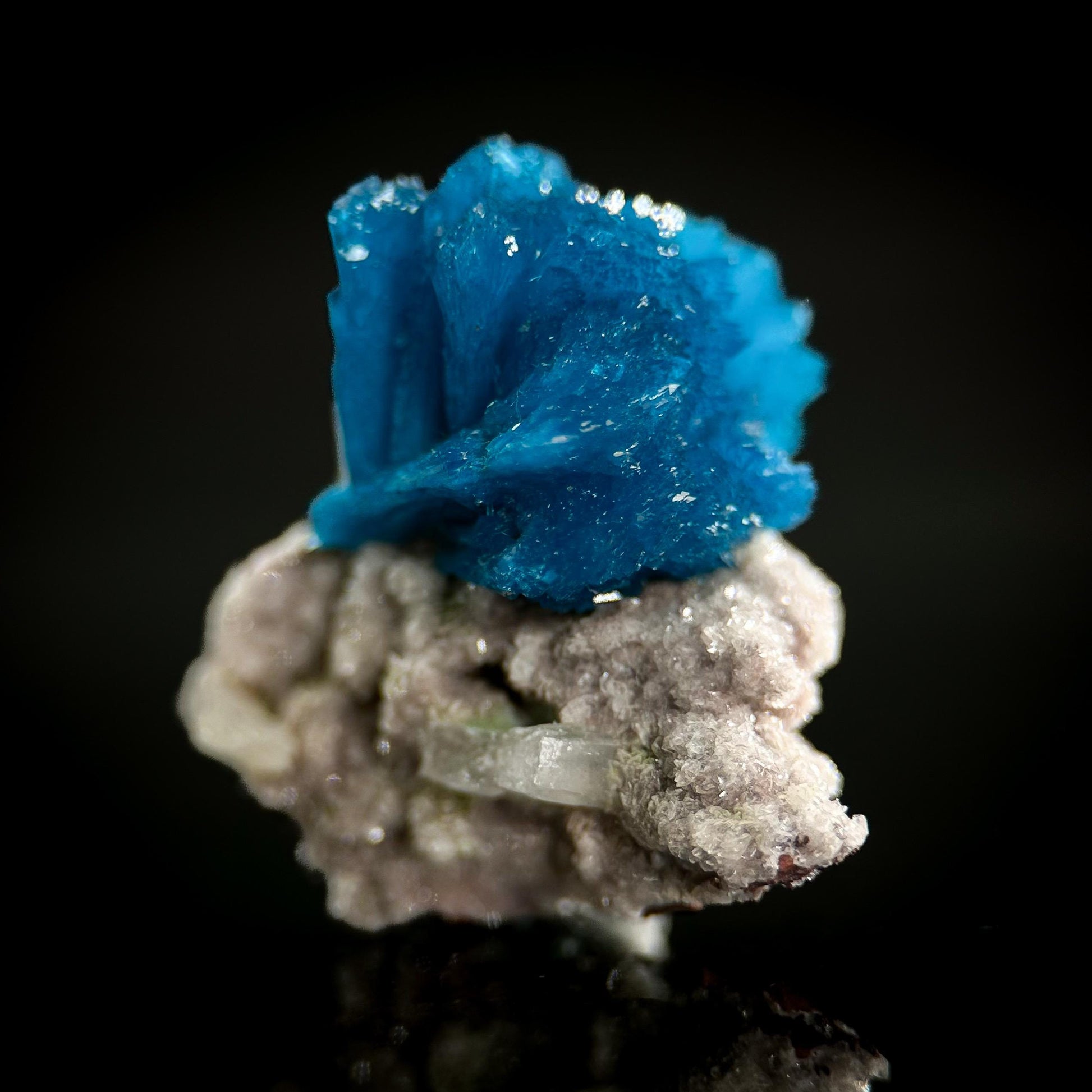 Deep Blue Cavansite on Matrix | crystal cluster, mineral specimen