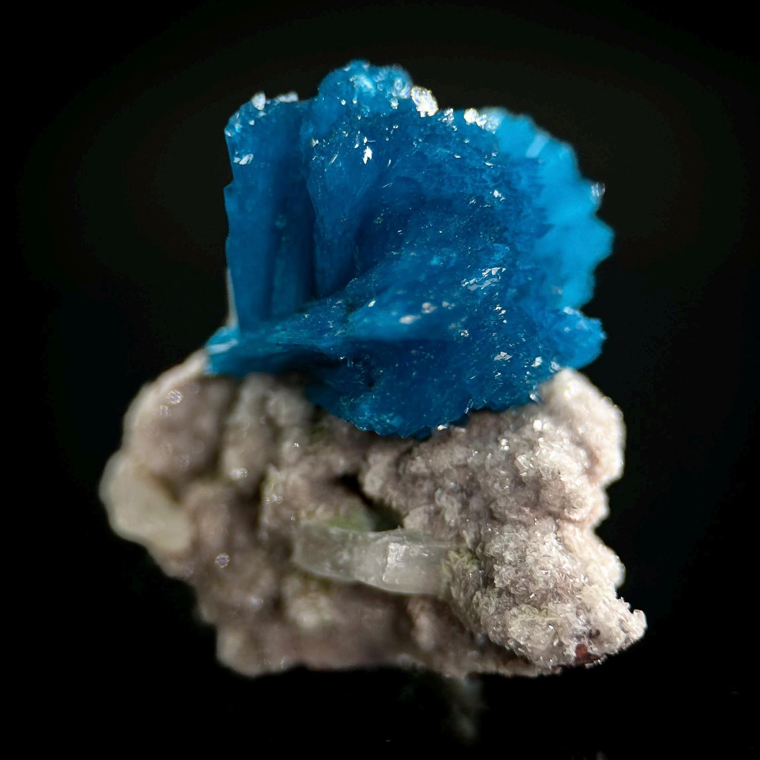 Deep Blue Cavansite on Matrix | crystal cluster, mineral specimen