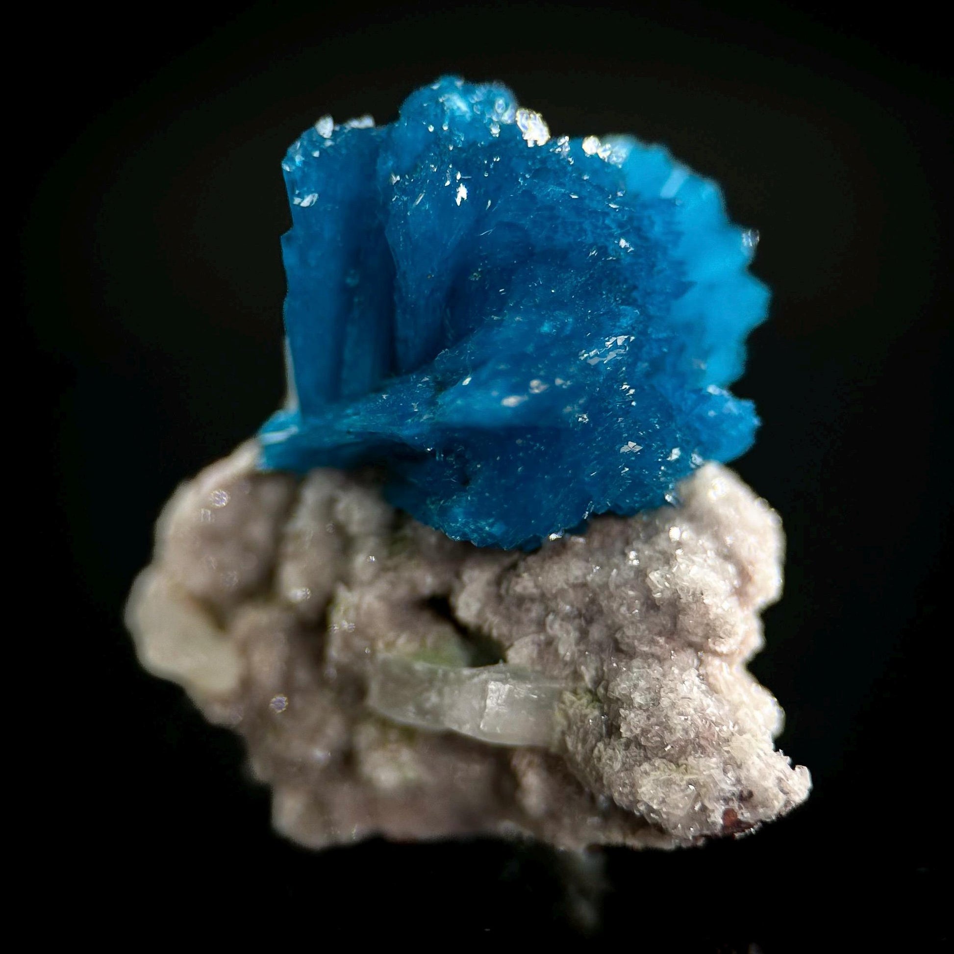 Deep Blue Cavansite on Matrix | crystal cluster, mineral specimen