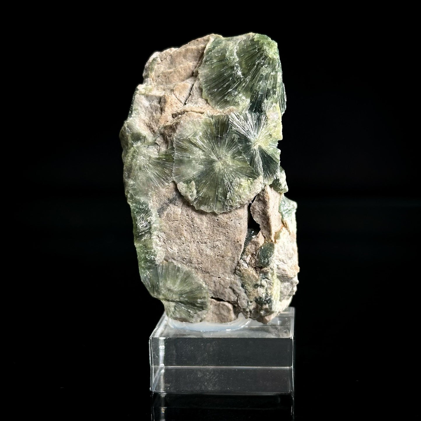 Wavellite (Arkansas, USA) | green radial crystal cluster, mineral specimen