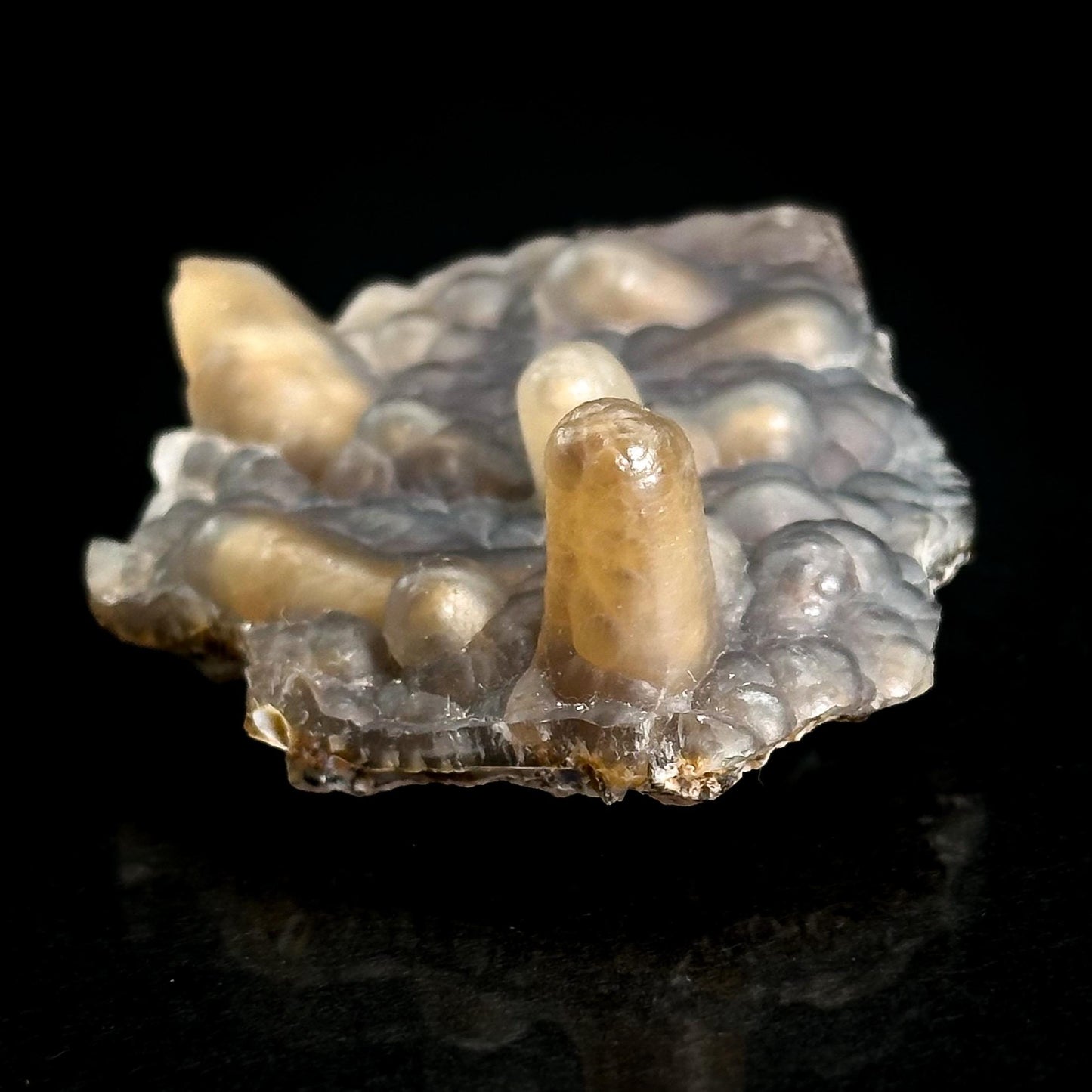 Chalcedony Stalactite | Botryoidal crystal, mineral specimen from Mexico