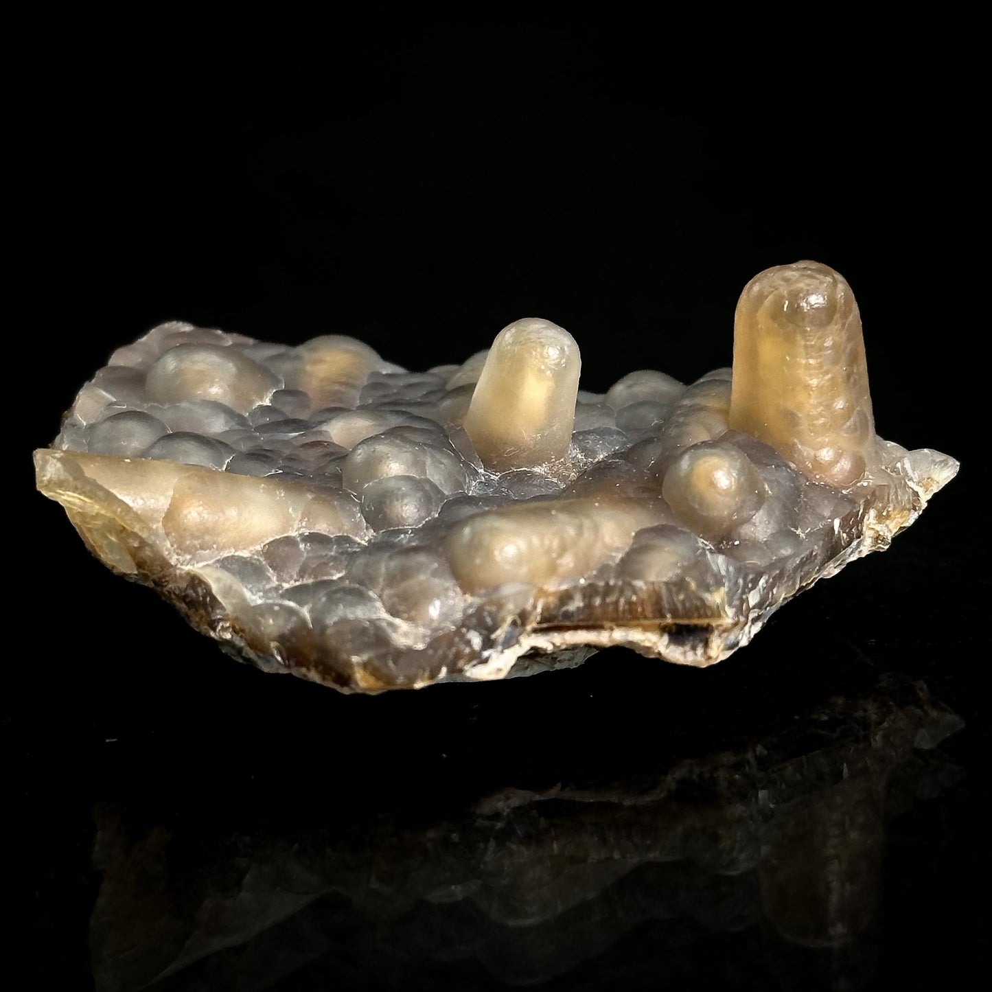 Chalcedony Stalactite | Botryoidal crystal, mineral specimen from Mexico