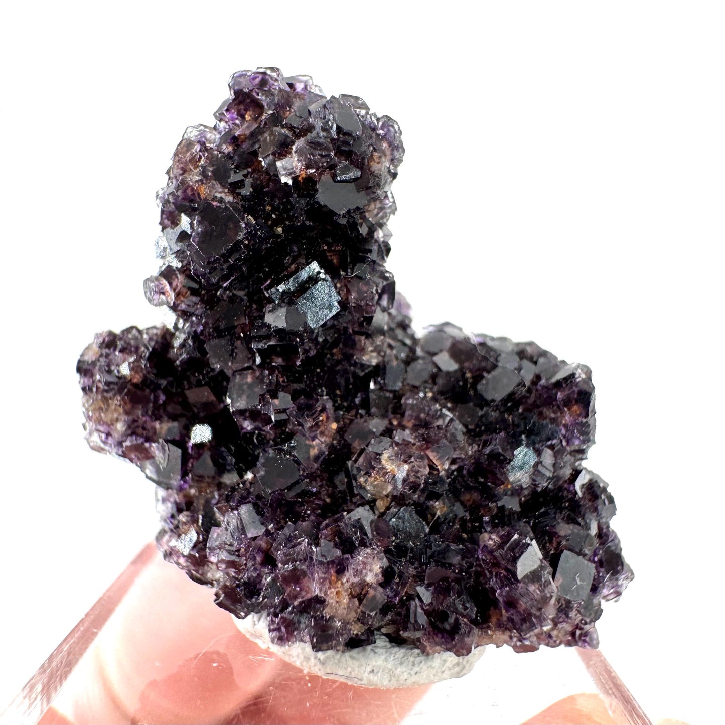 Okorusu Fluorite | purple crystal cluster, mineral specimen from Namibia