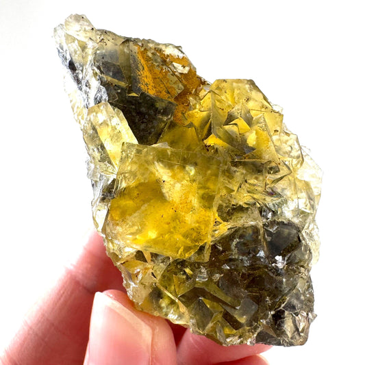 Okorusu Fluorite | “Honey Pocket” yellow crystal cluster, mineral specimen from Namibia