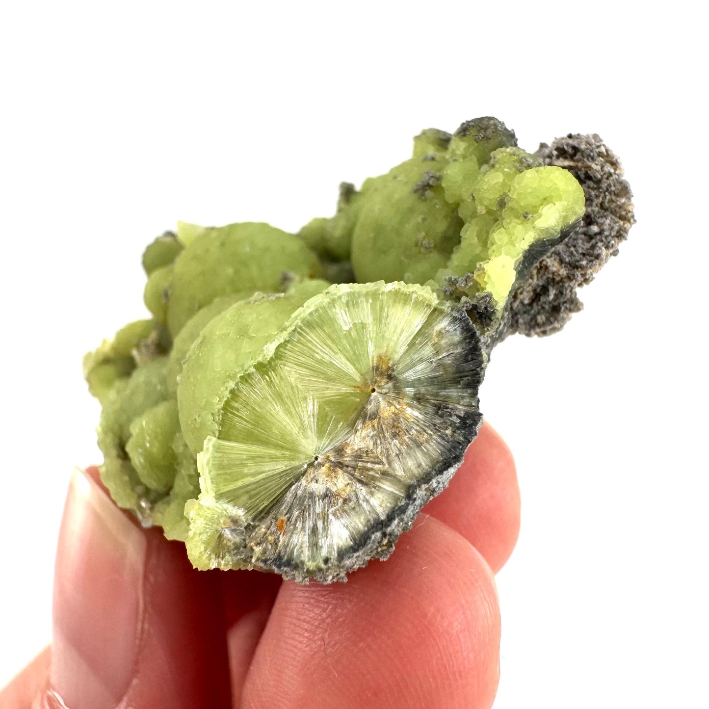 Wavellite (Arkansas, USA) | green crystal cluster, mineral specimen