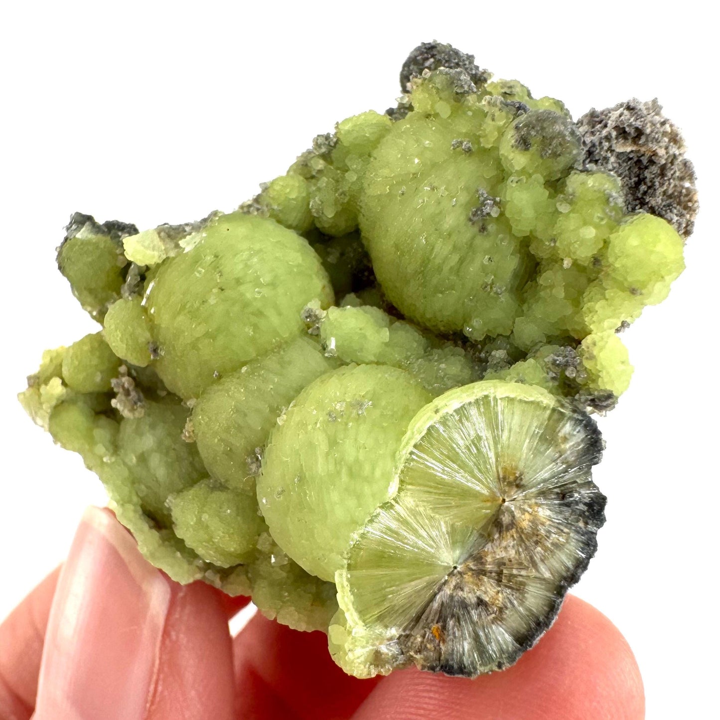 Wavellite (Arkansas, USA) | green crystal cluster, mineral specimen