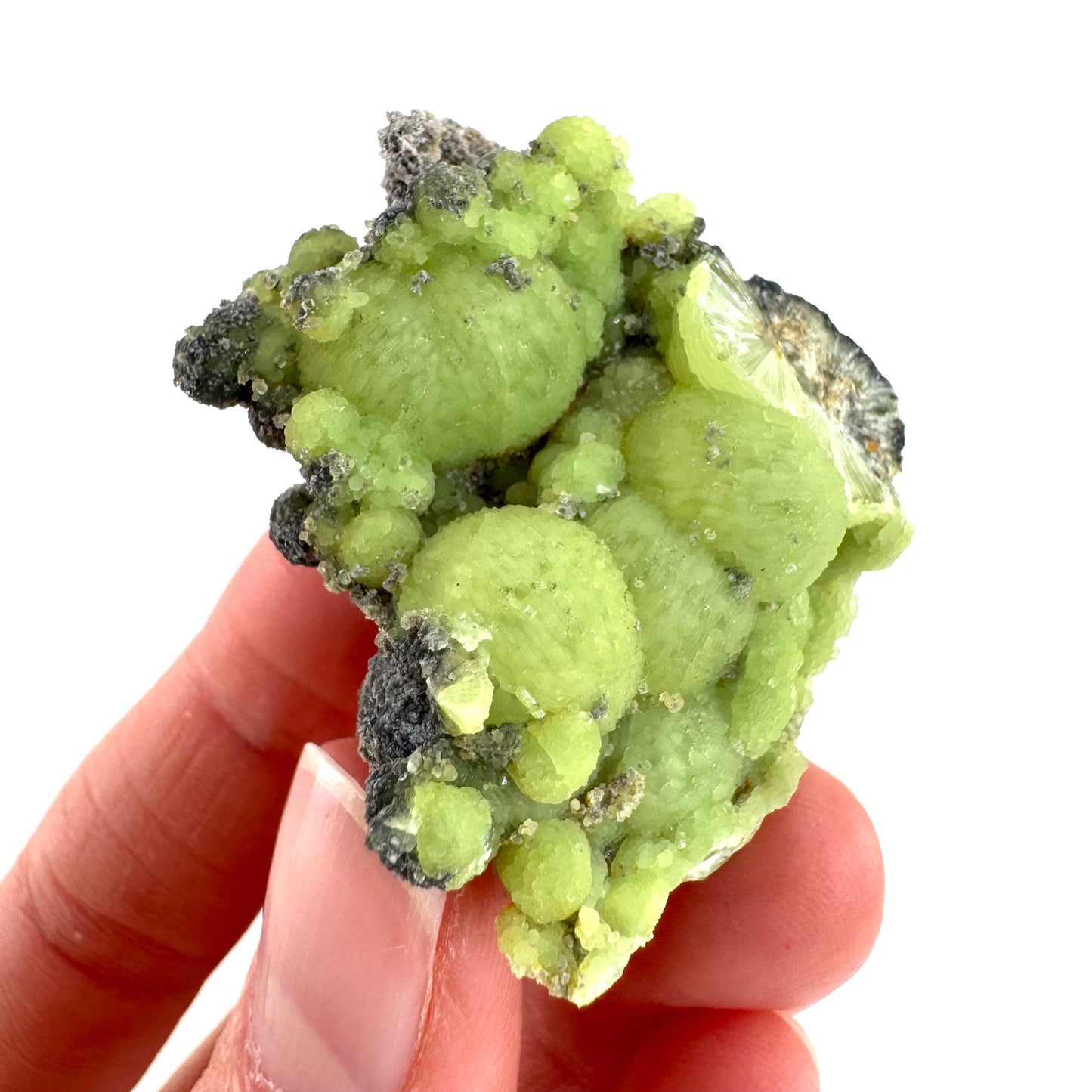 Wavellite (Arkansas, USA) | green crystal cluster, mineral specimen