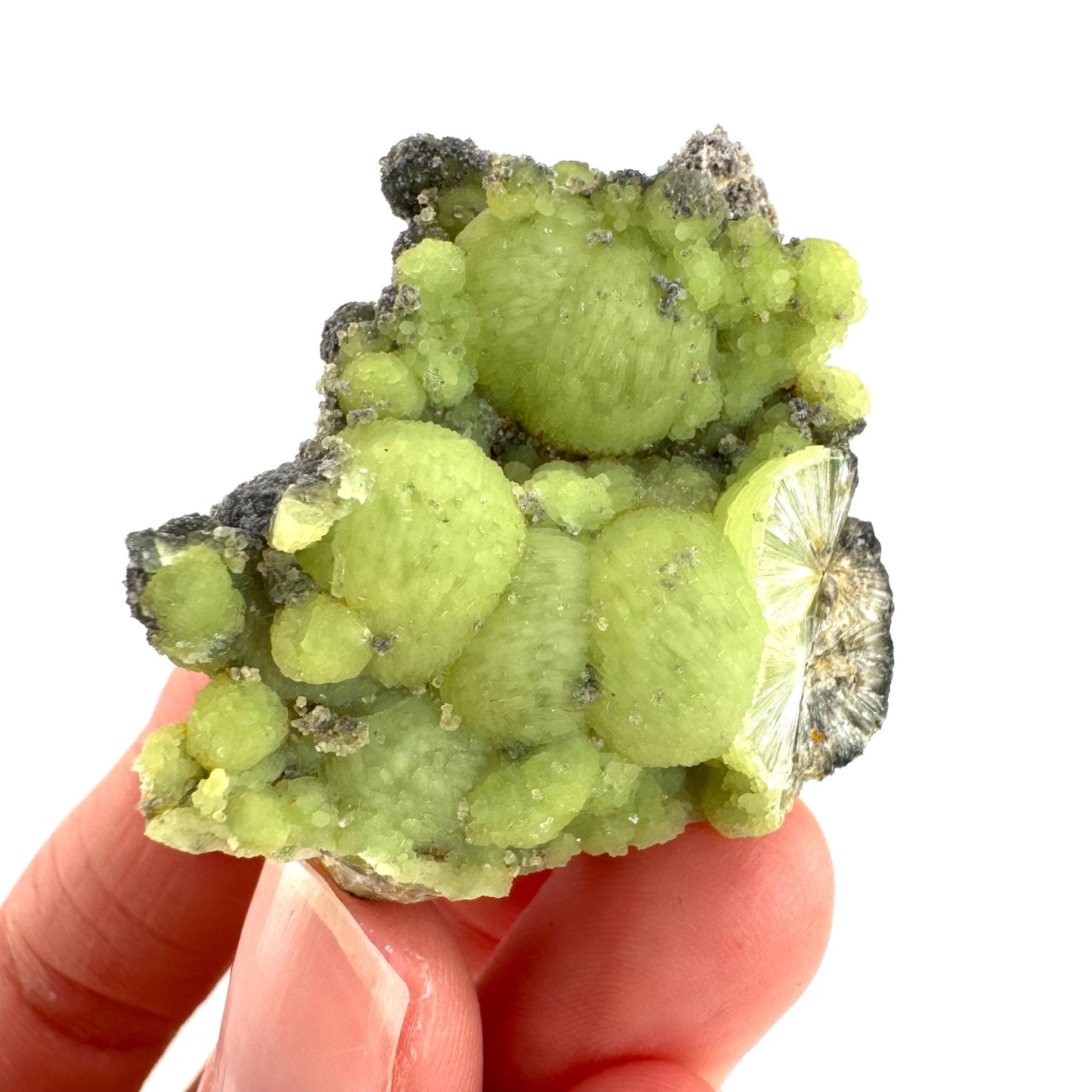 Wavellite (Arkansas, USA) | green crystal cluster, mineral specimen