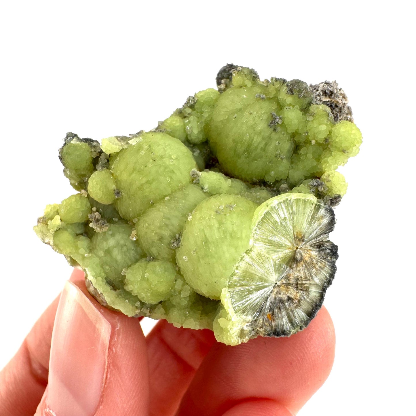 Wavellite (Arkansas, USA) | green crystal cluster, mineral specimen