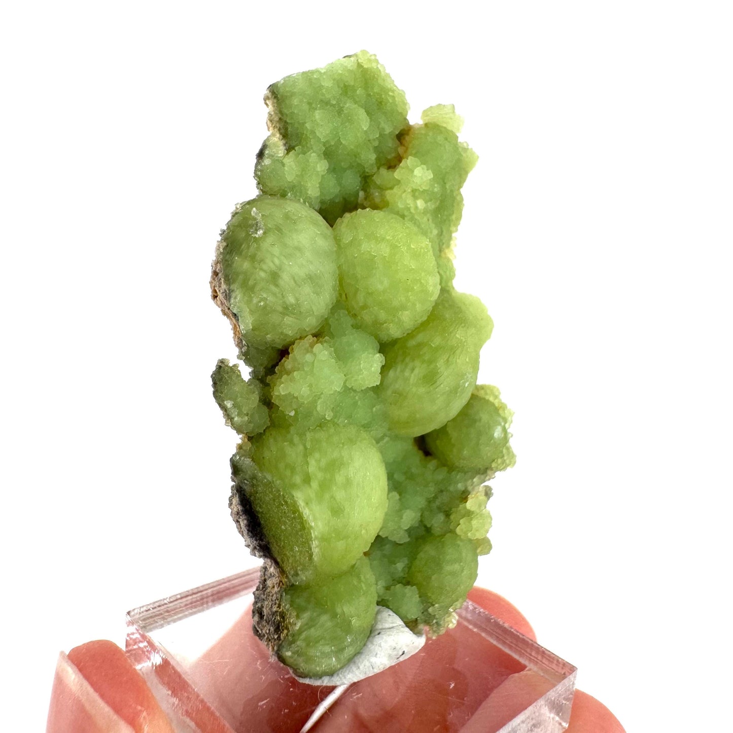 Wavellite (Arkansas, USA) | green crystal cluster, mineral specimen