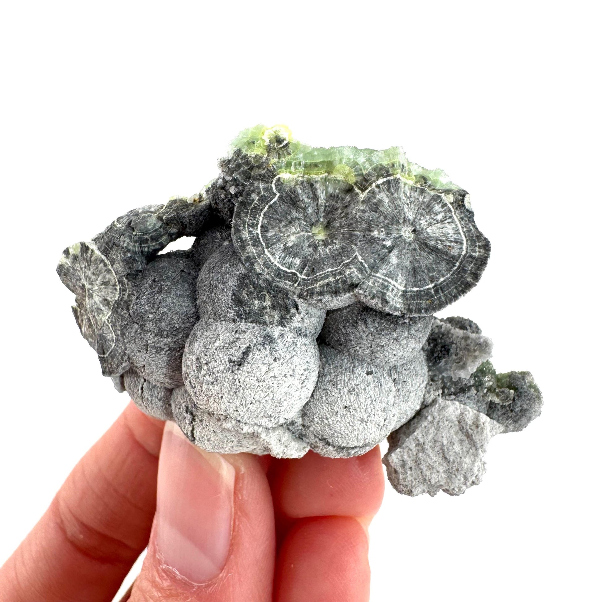 Wavellite (Arkansas, USA) | green crystal cluster, mineral specimen