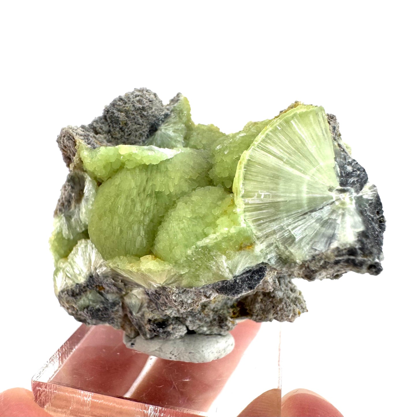 Wavellite (Arkansas, USA) | green crystal cluster, mineral specimen