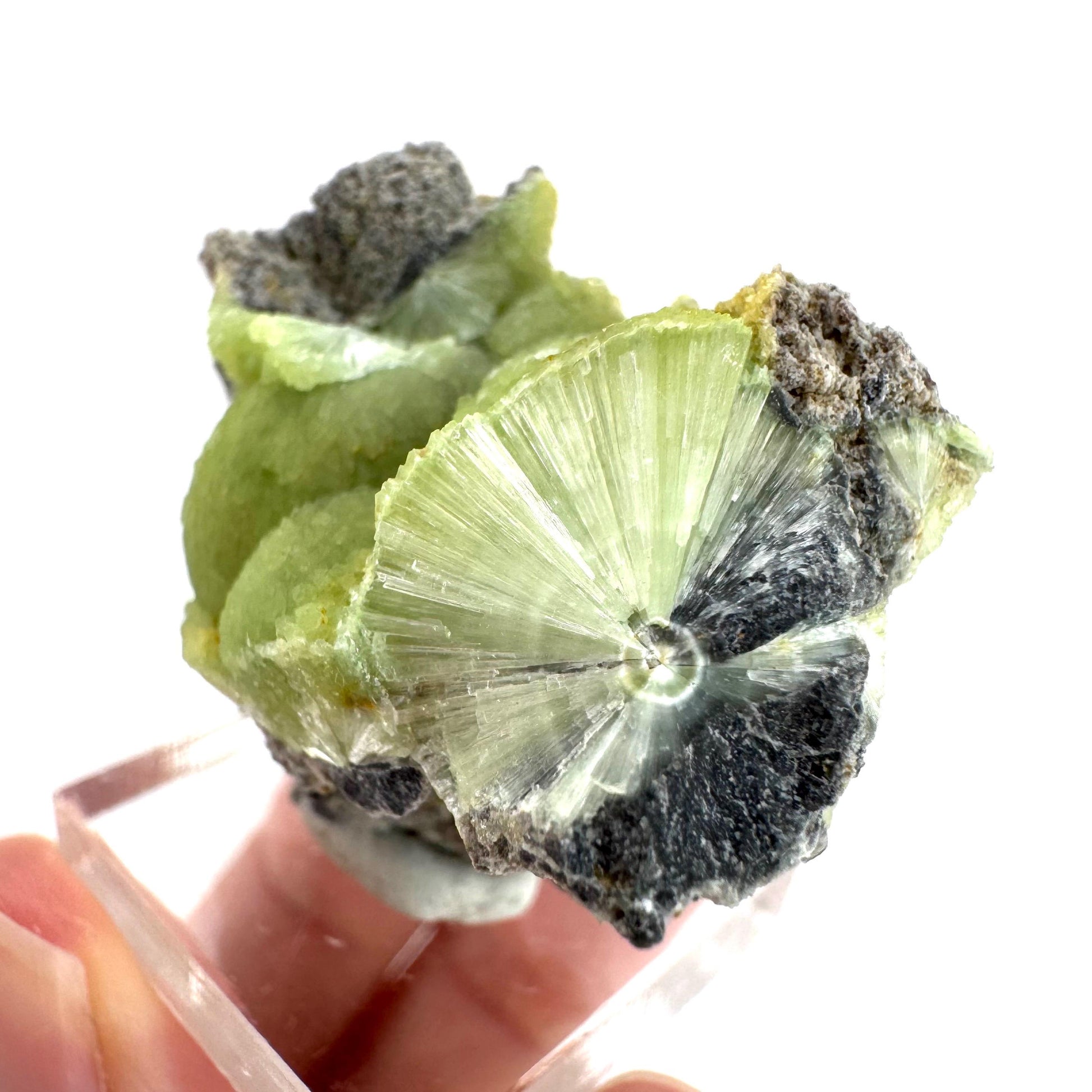 Wavellite (Arkansas, USA) | green crystal cluster, mineral specimen