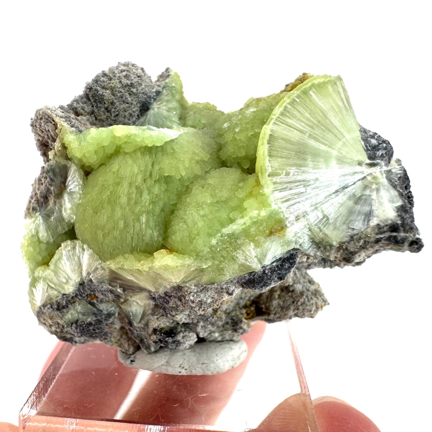 Wavellite (Arkansas, USA) | green crystal cluster, mineral specimen