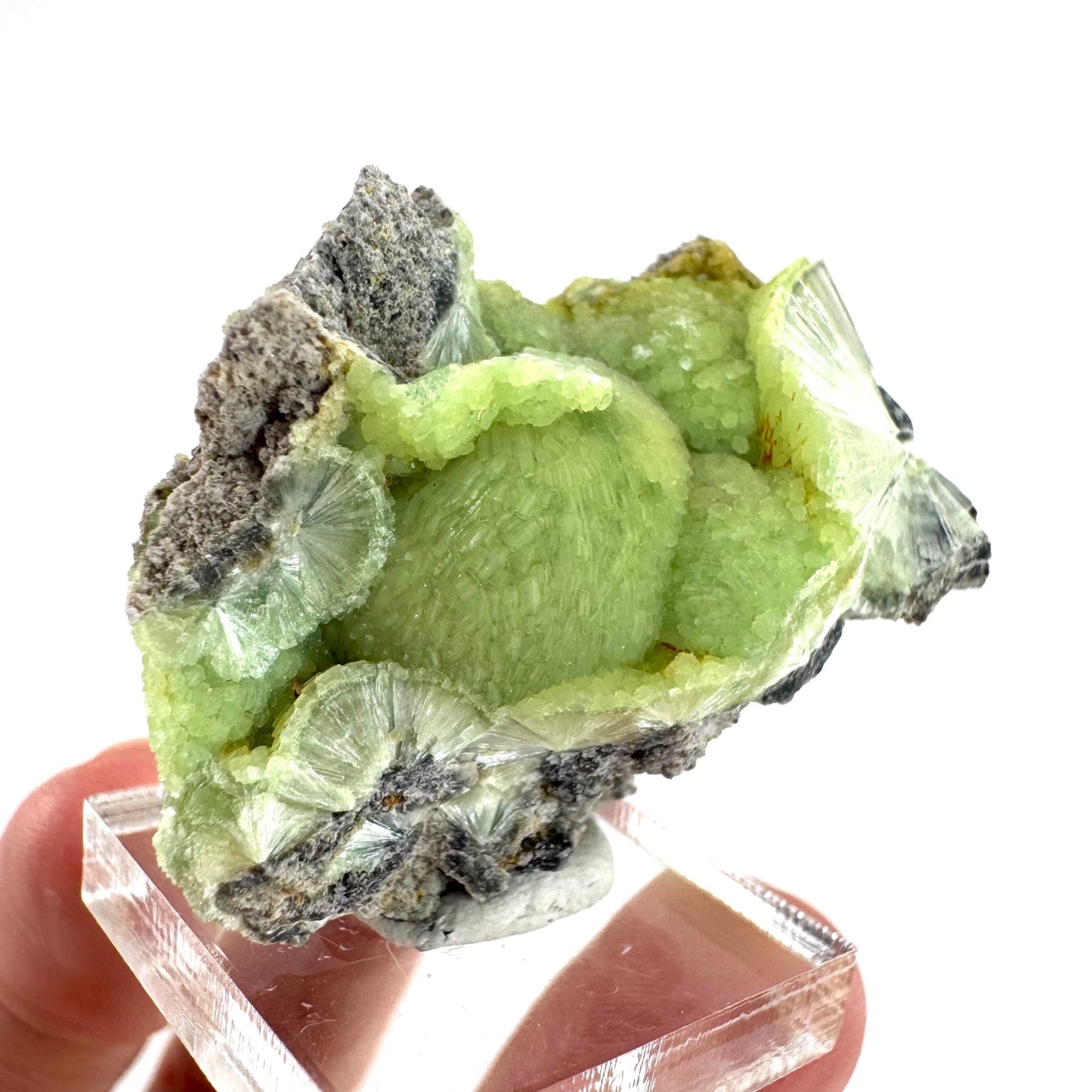 Wavellite (Arkansas, USA) | green crystal cluster, mineral specimen