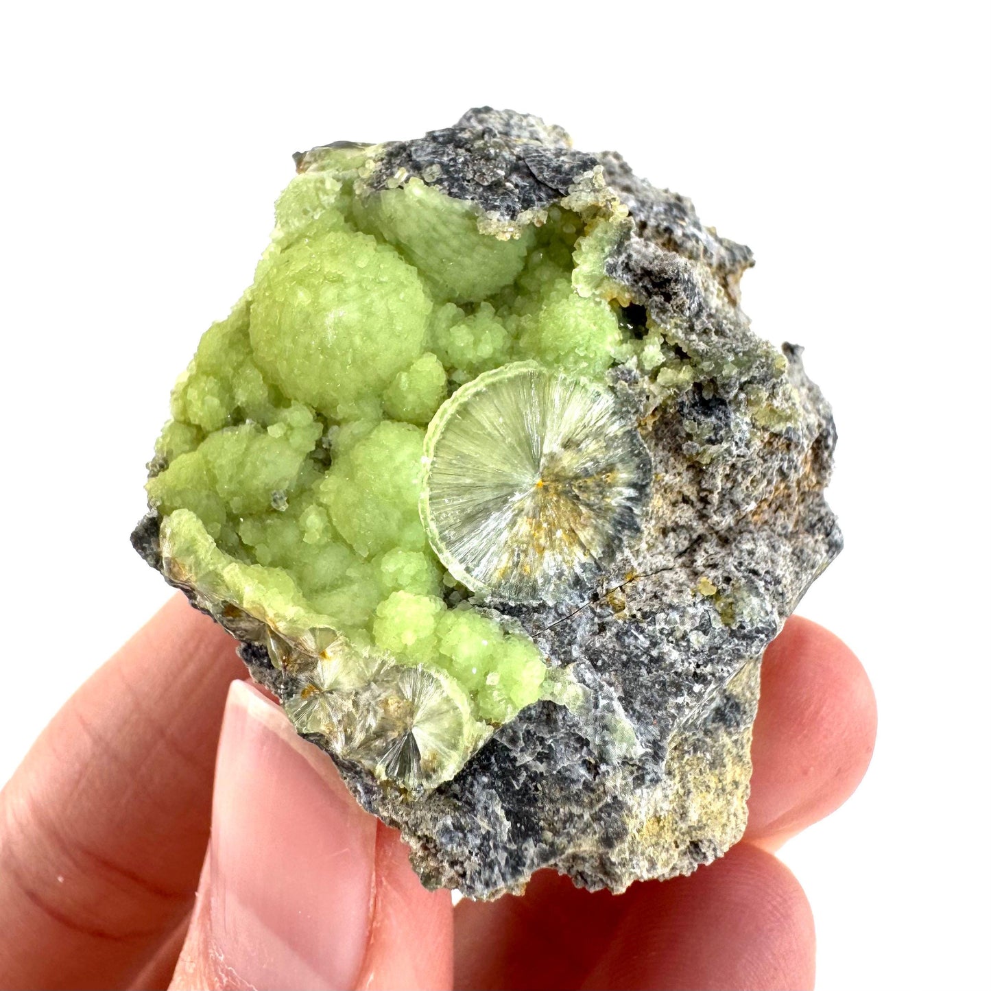 Wavellite (Arkansas, USA) | green crystal cluster, mineral specimen